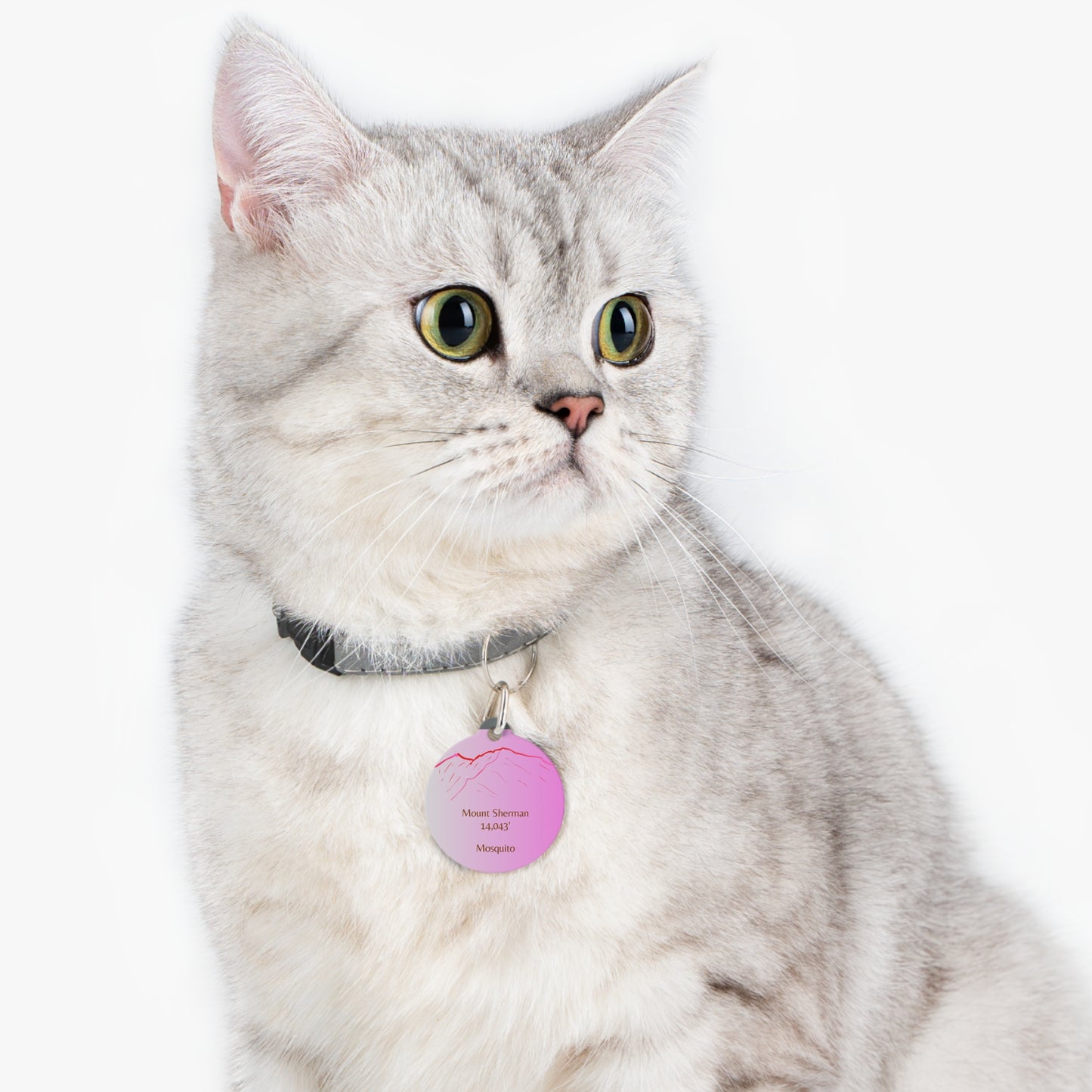 Mount Sherman Pet Tag