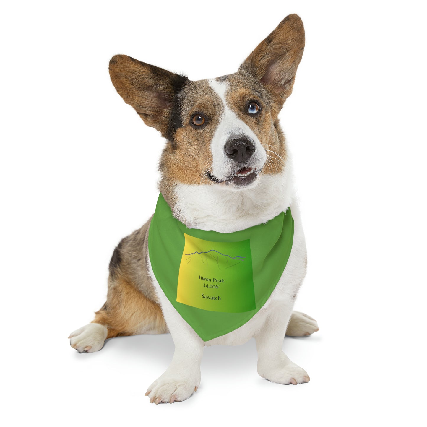 Huron Peak 14er Pet Bandana Collar