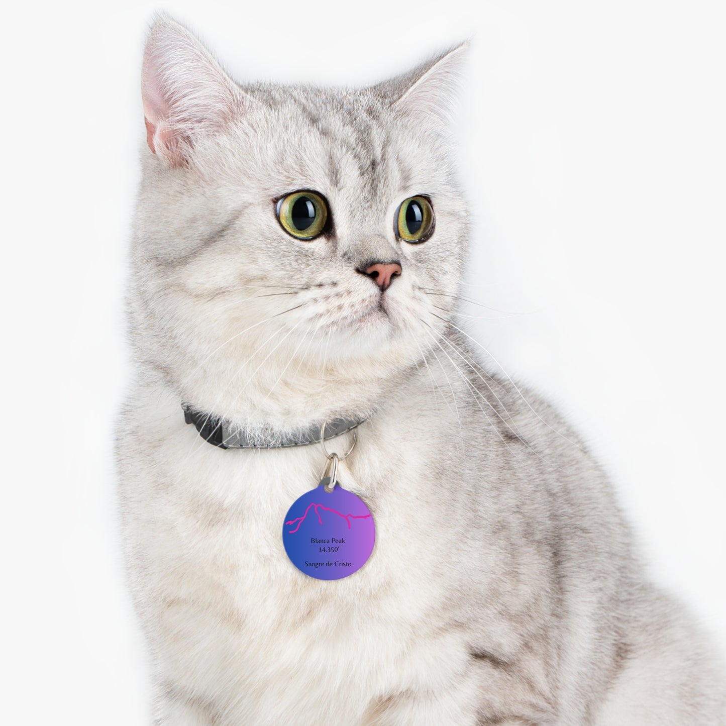 Blanca Peak 14er Pet Tag