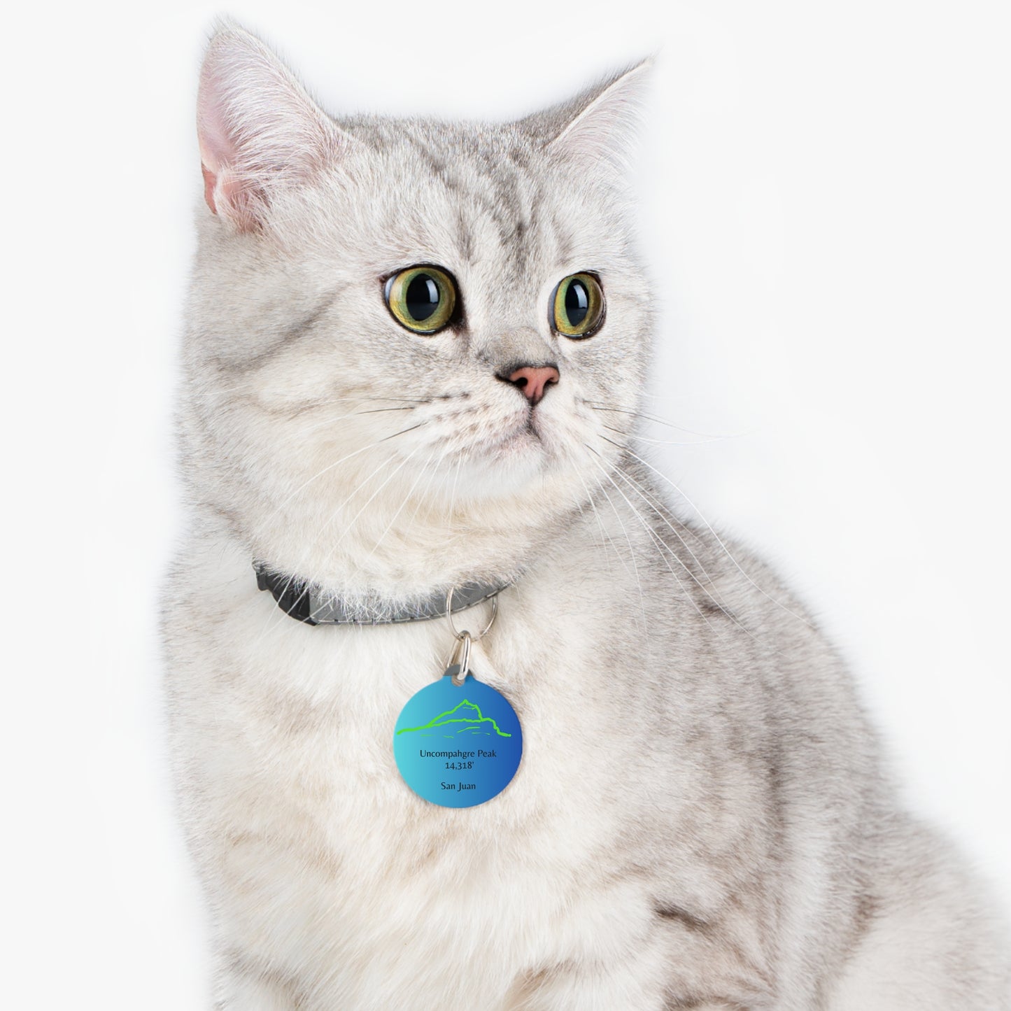 Uncompahgre Peak Pet Tag