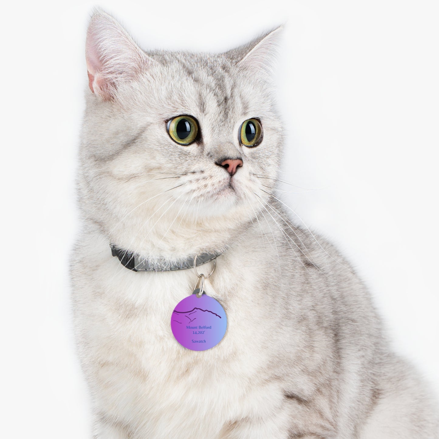 Mount Belford Pet Tag