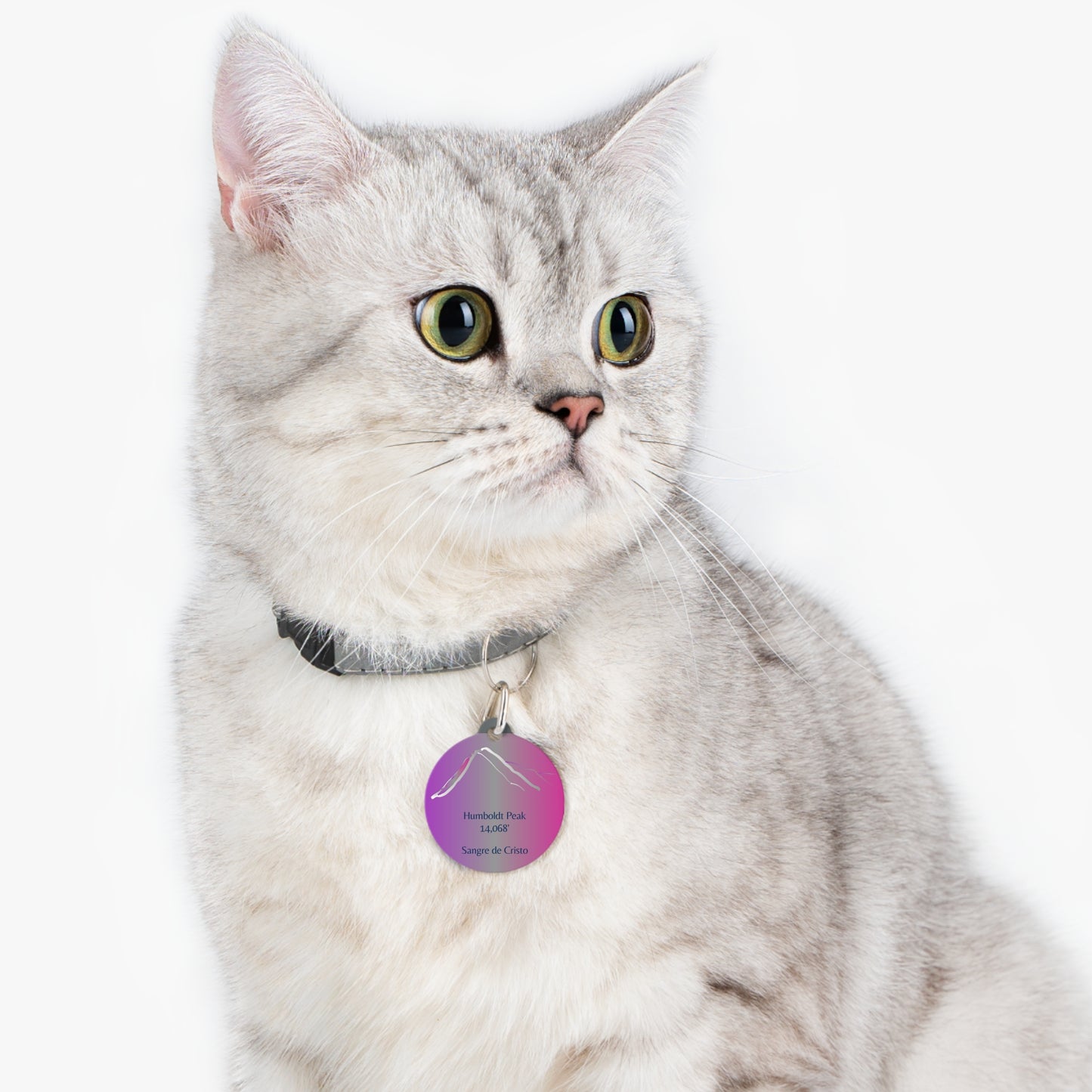 Humboldt Peak Pet Tag