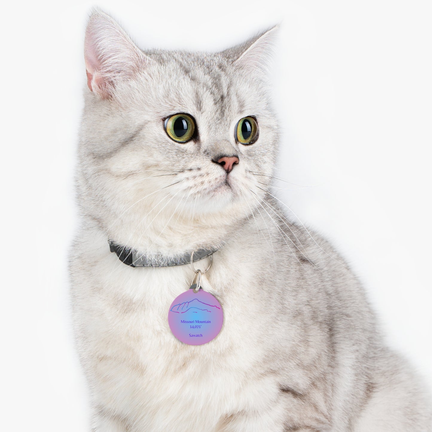Missouri Mountain Pet Tag