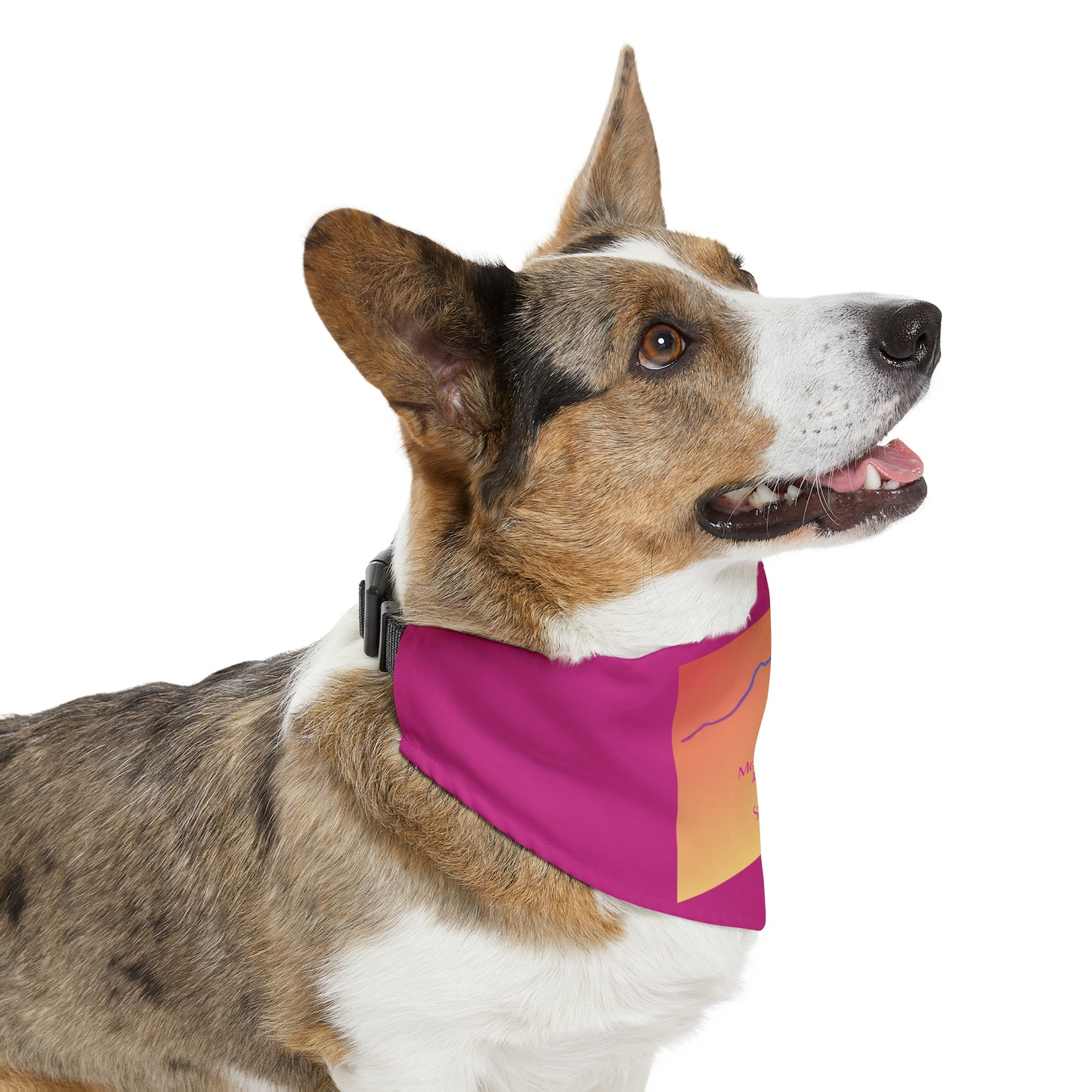 Mount Columbia 14er Pet Bandana Collar