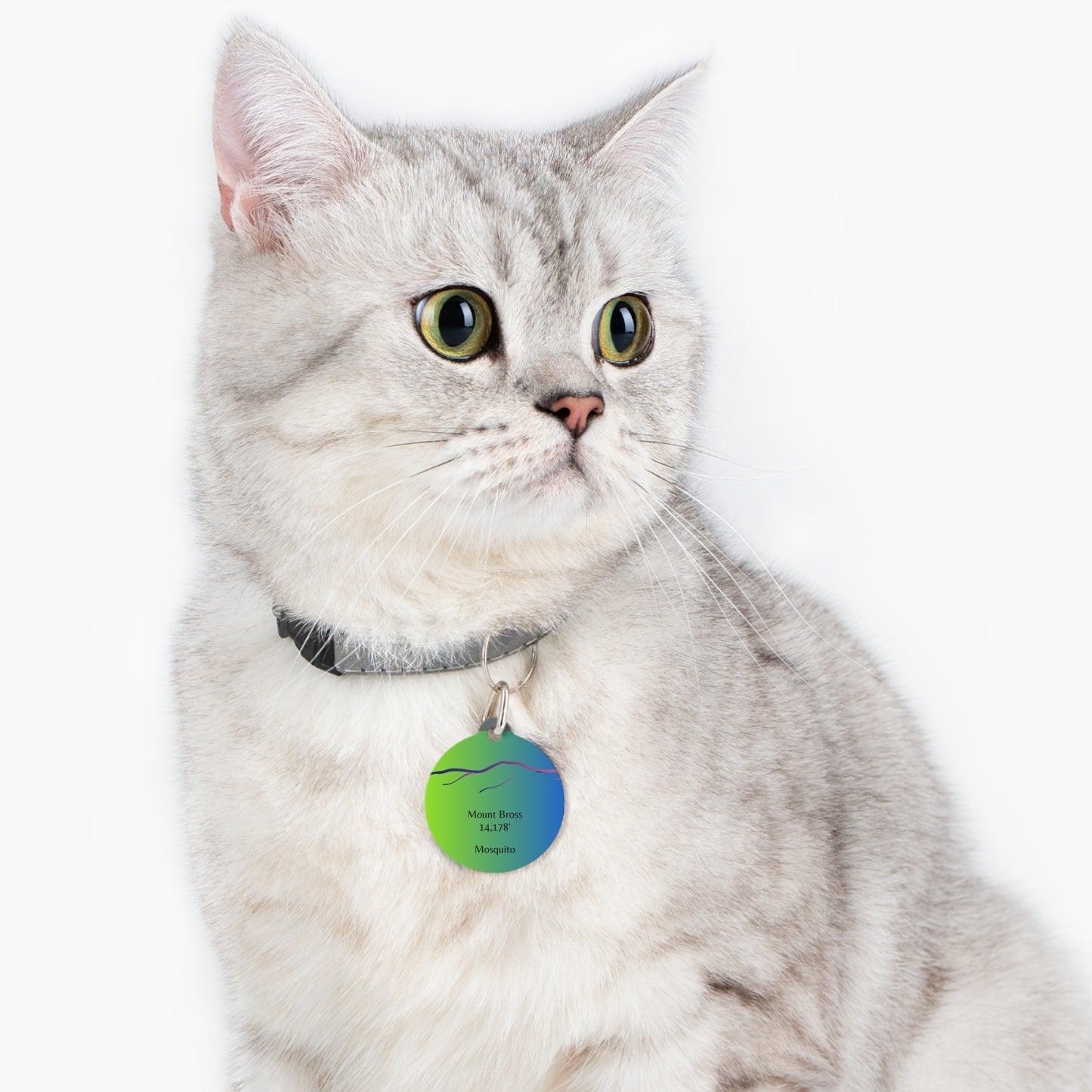 Mount Bross Pet Tag