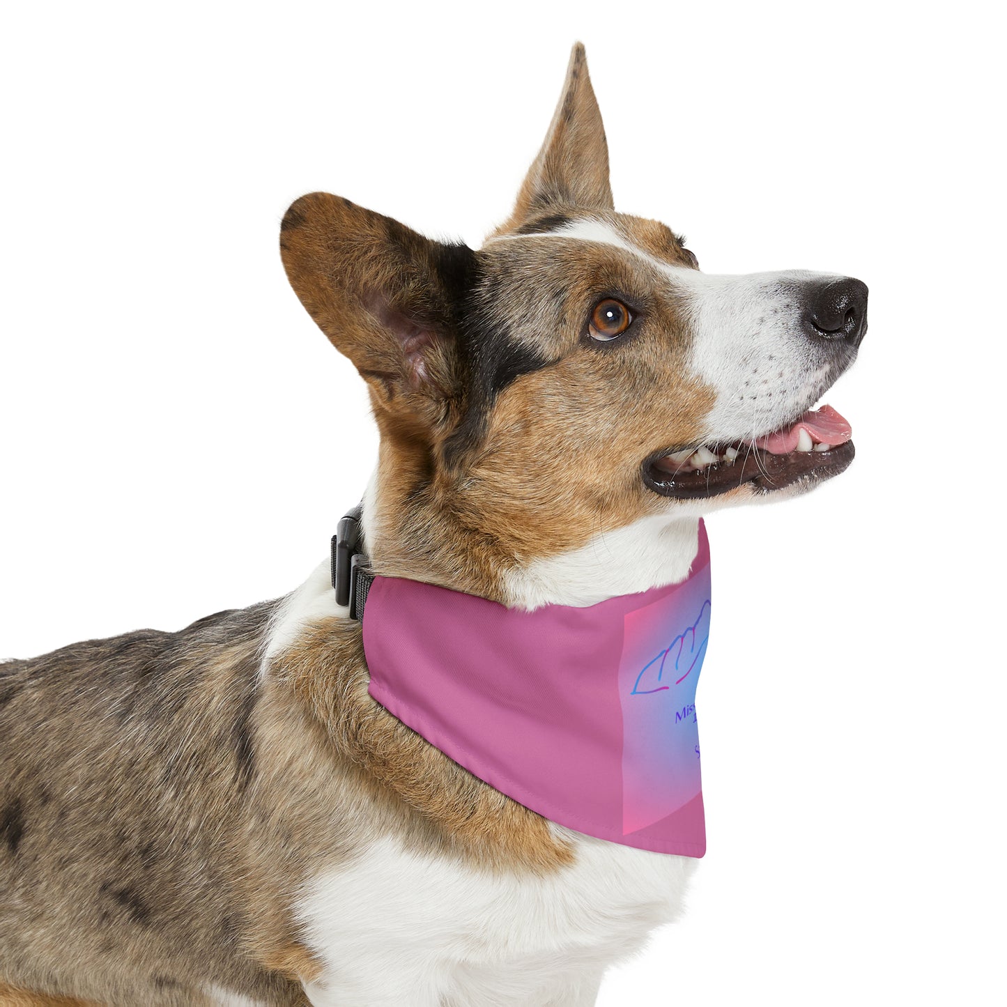 Missouri Mountain 14er Pet Bandana Collar