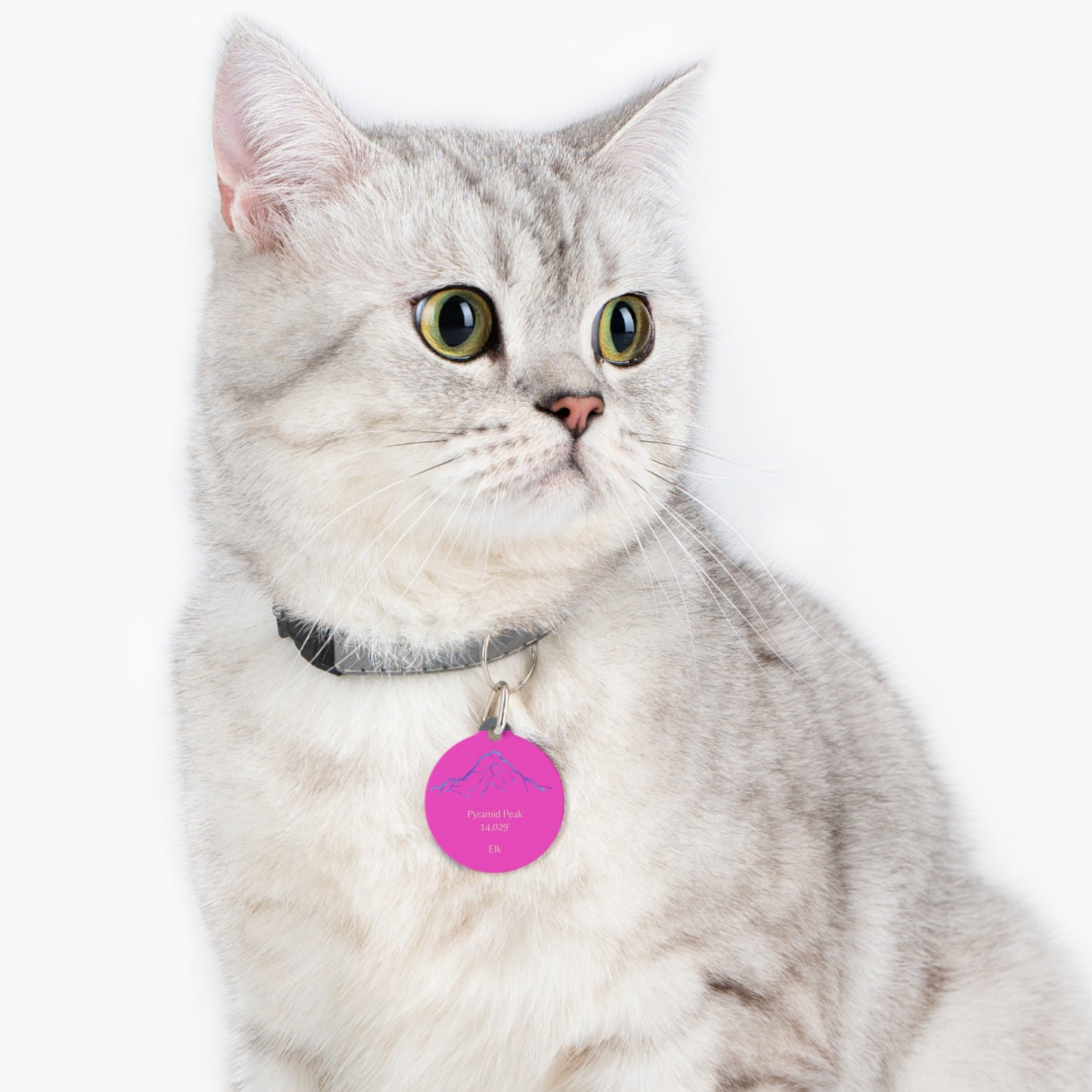 Pyramid Peak Pet Tag
