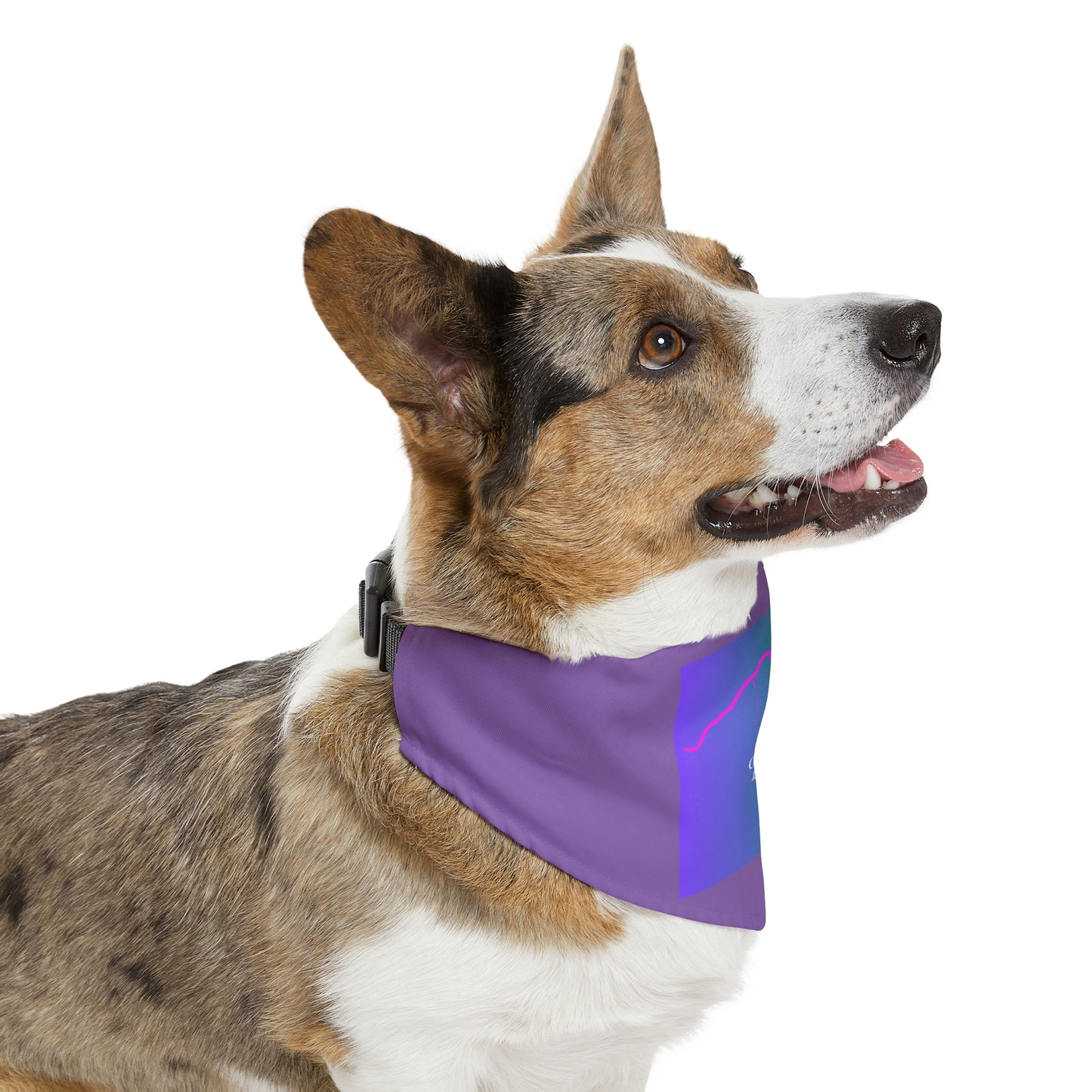 Castle Peak 14er Dog Bandana 4