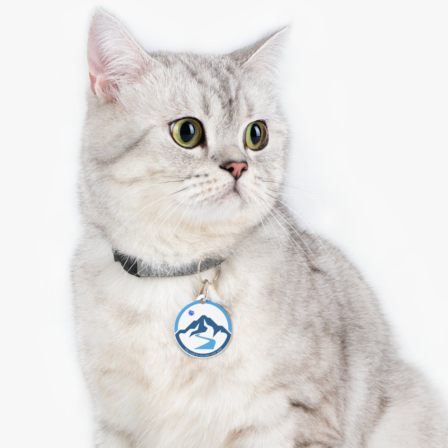 The Road to Success Runs Uphill Pet Tag