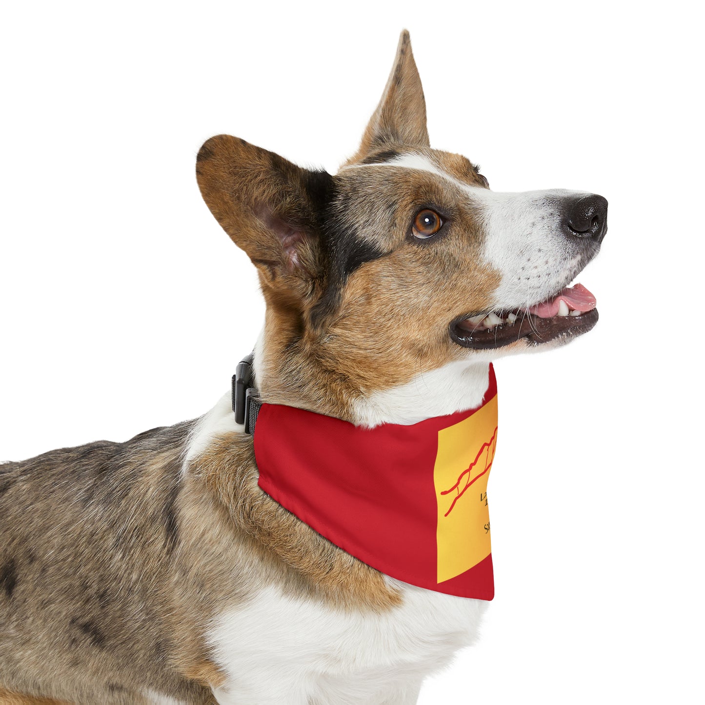 La Plata Peak 14er Pet Bandana Collar