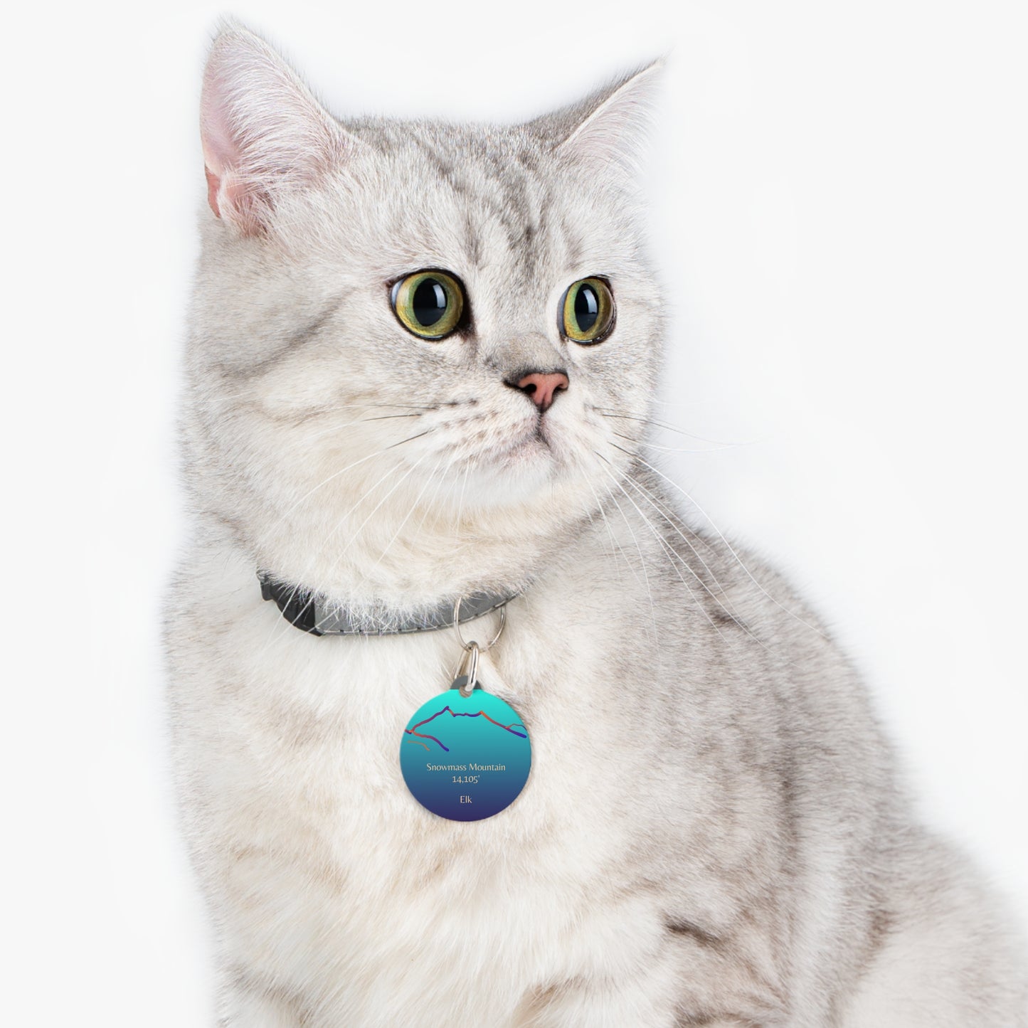 Snowmass Mountain Pet Tag