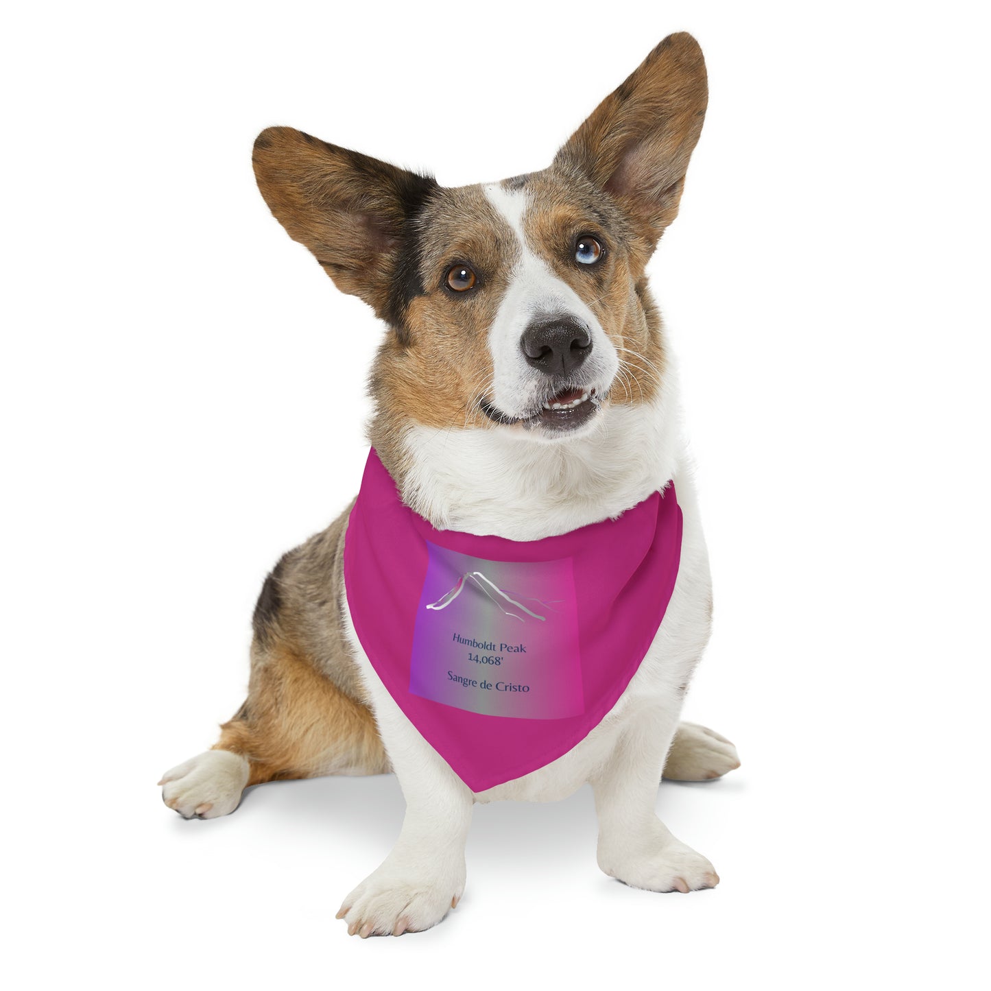 Humboldt Peak 14er Pet Bandana Collar