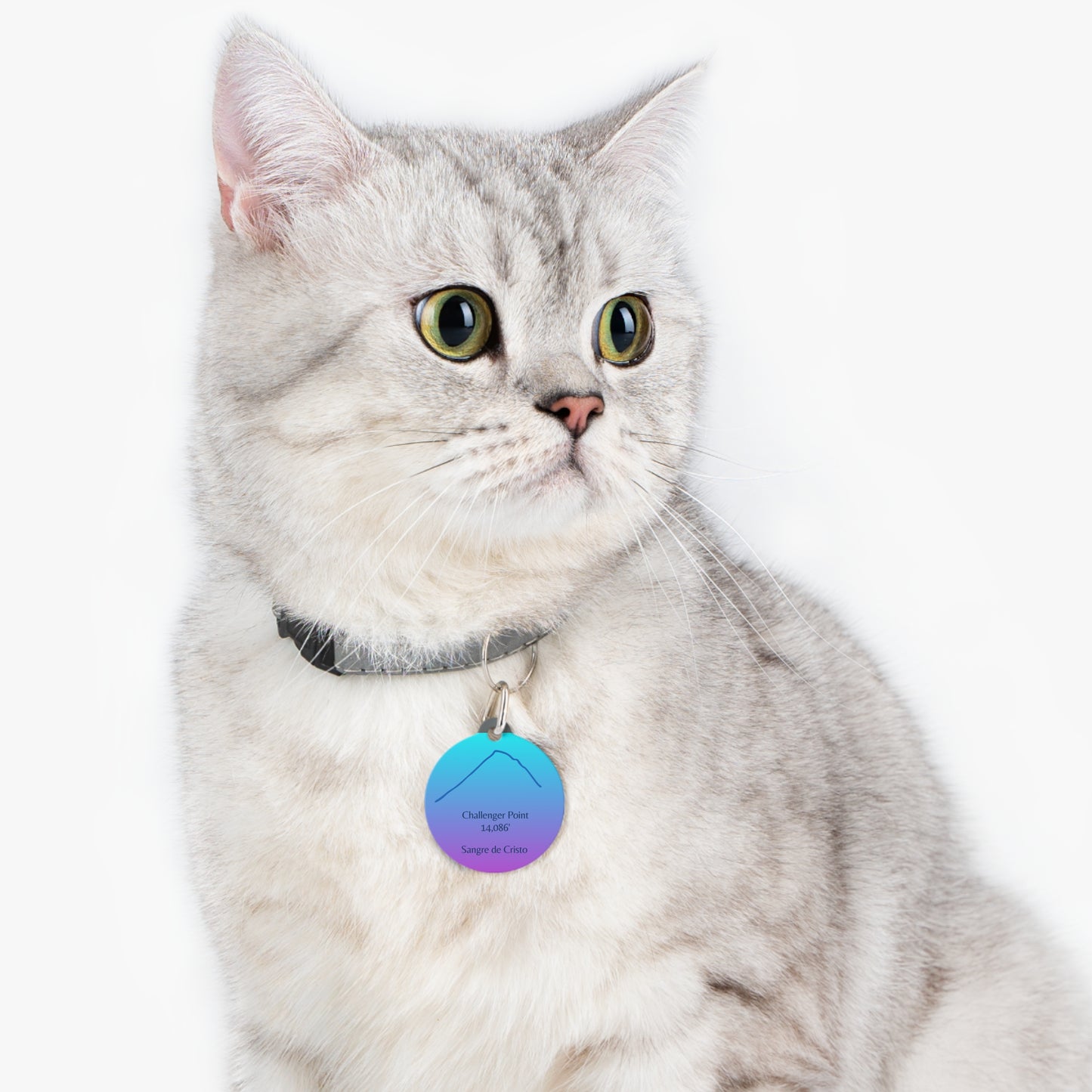 Challenger Point Pet Tag