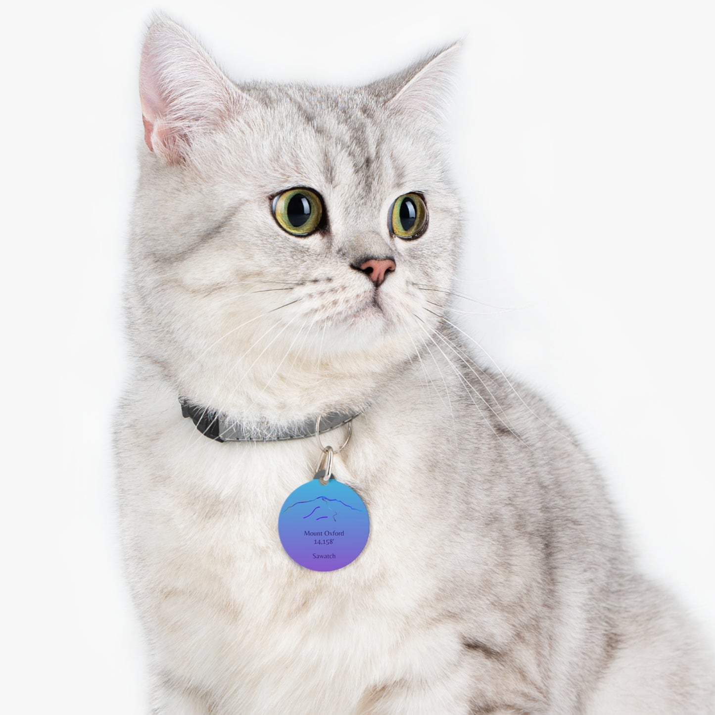 Mount Oxford Pet Tag