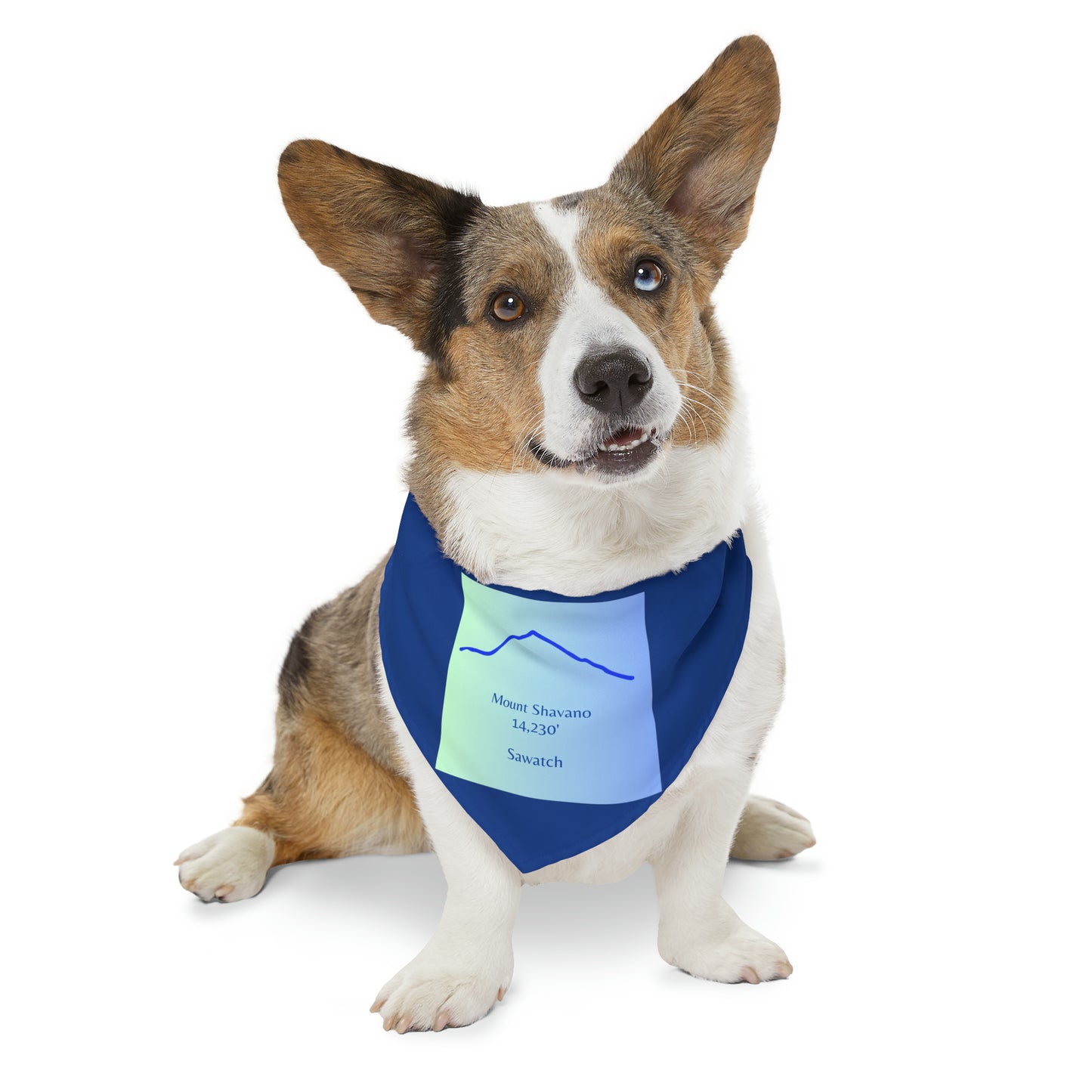 Mount Shavano 14er Pet Bandana Collar