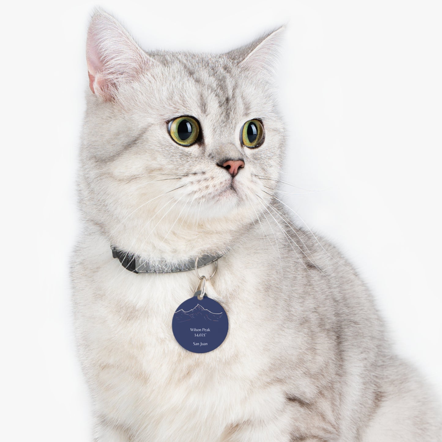 Wilson Peak Pet Tag