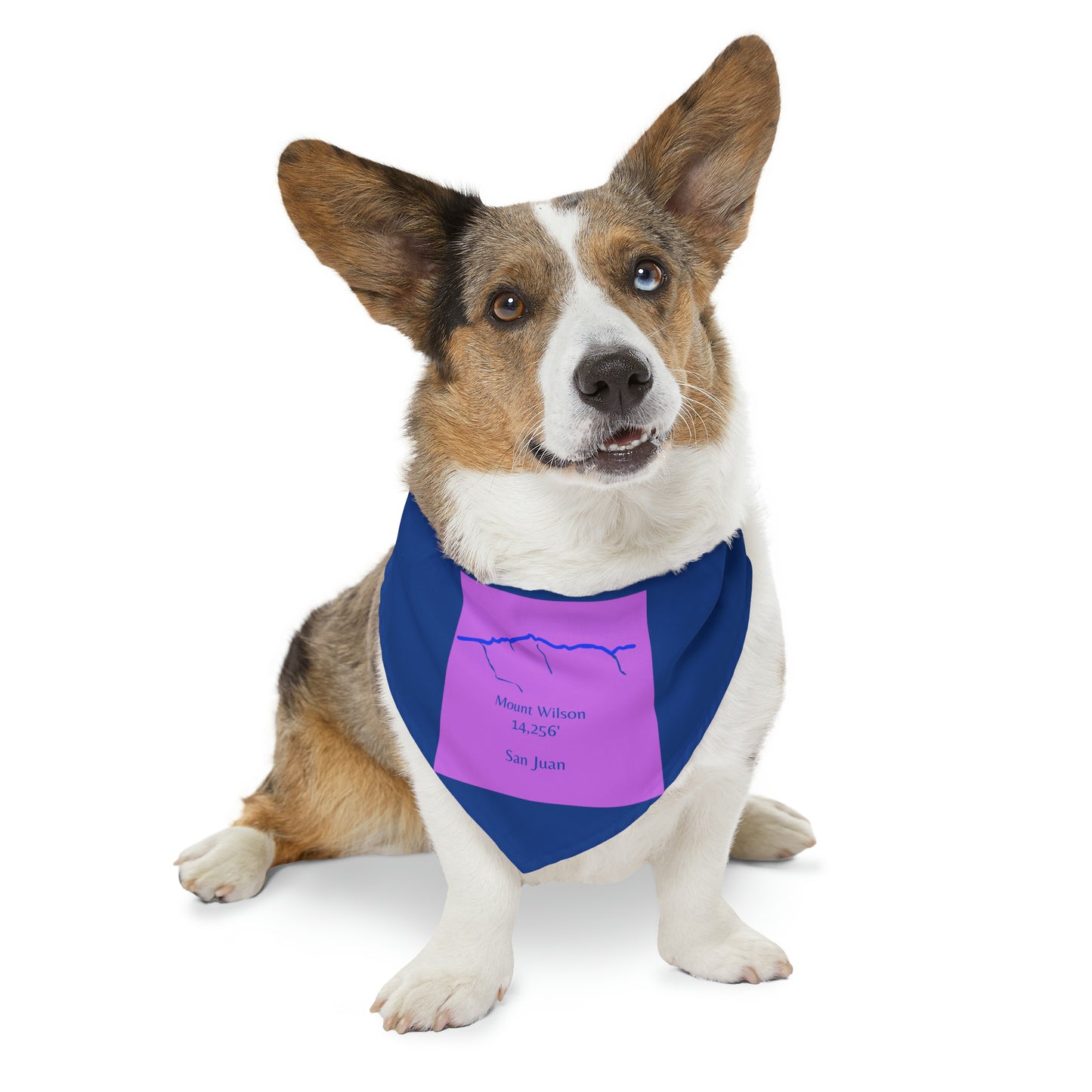 Mount Wilson 14er Pet Bandana Collar