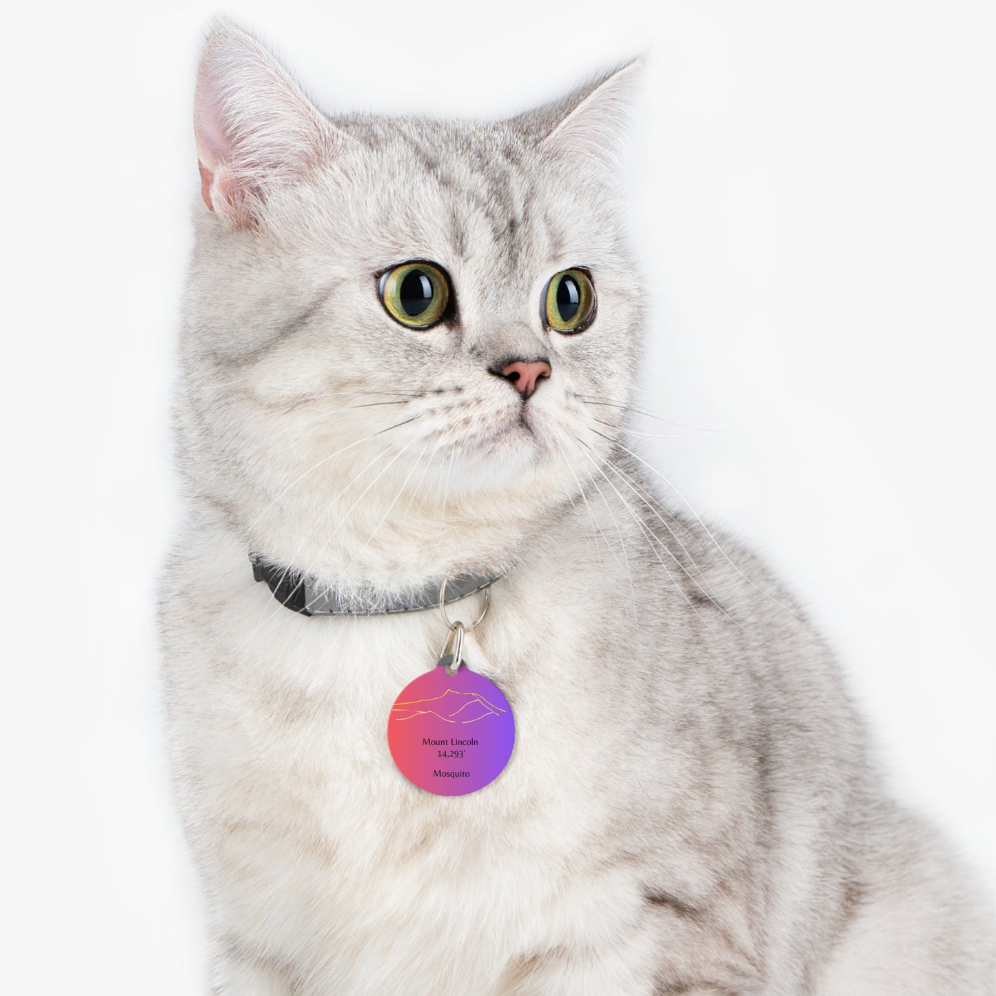 Mount Lincoln Pet Tag
