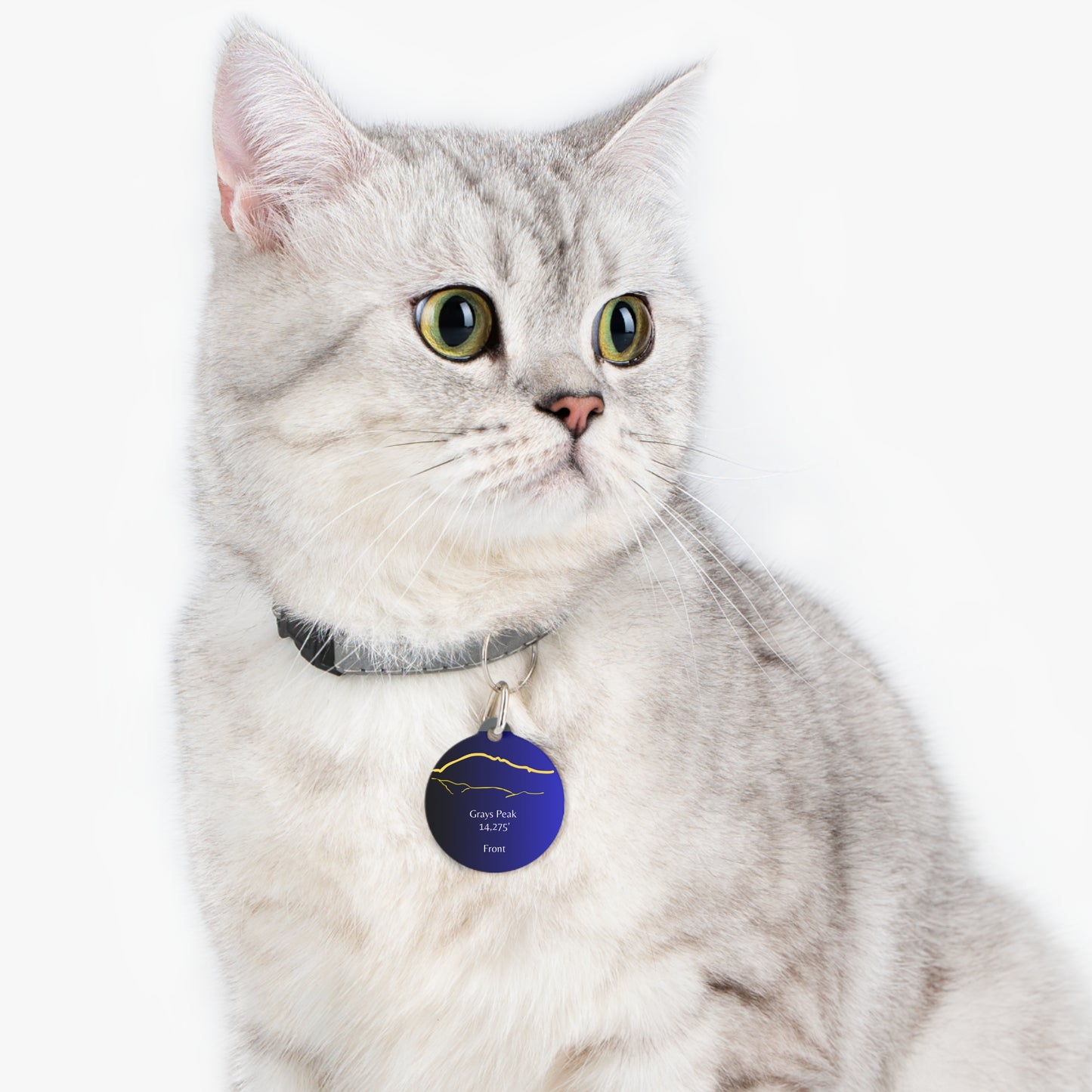 Grays Peak Pet Tag
