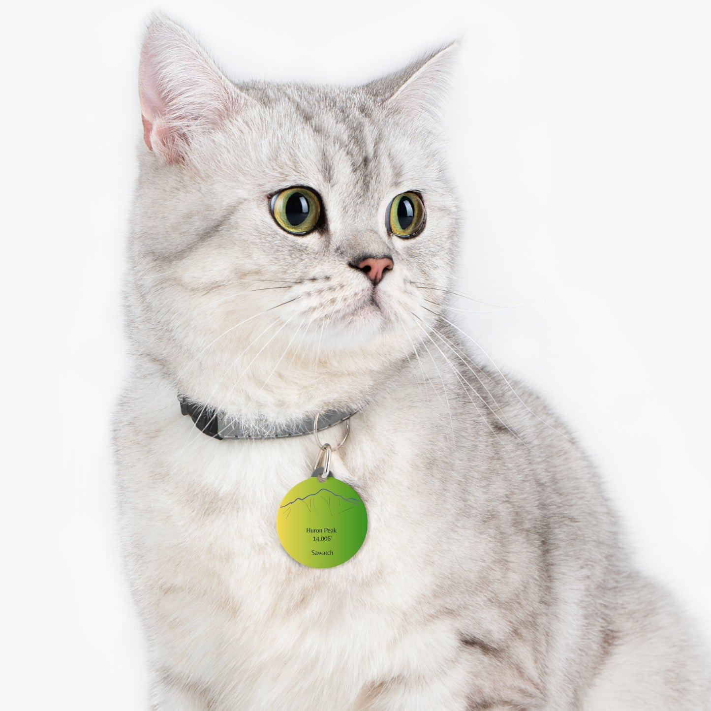 Huron Peak Pet Tag