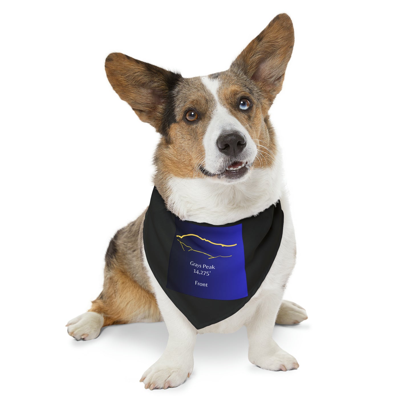 Grays Peak 14er Pet Bandana Collar