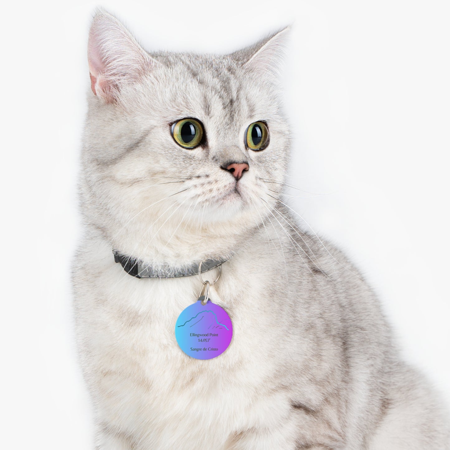 Ellingwood Point Pet Tag