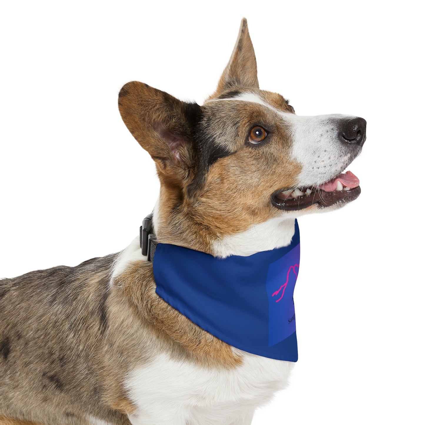 Blanca Peak 14er Bandana dog 6