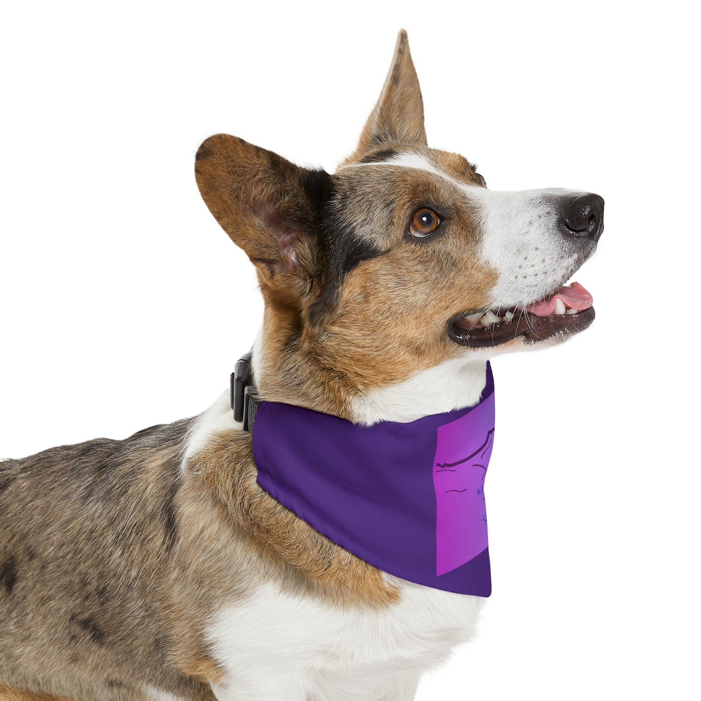 Mount Belford 14er Pet Bandana Collar