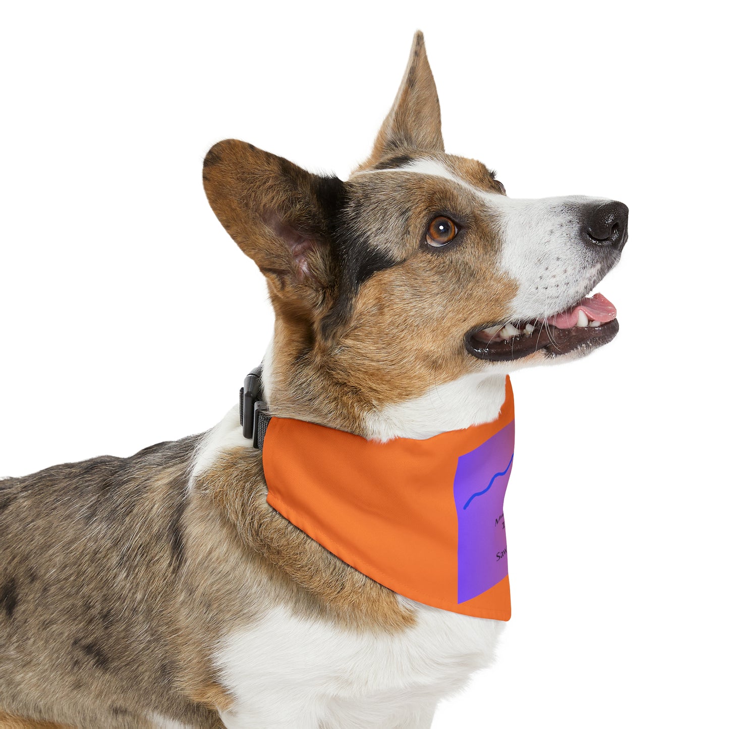 Mount Massive 14er Pet Bandana Collar