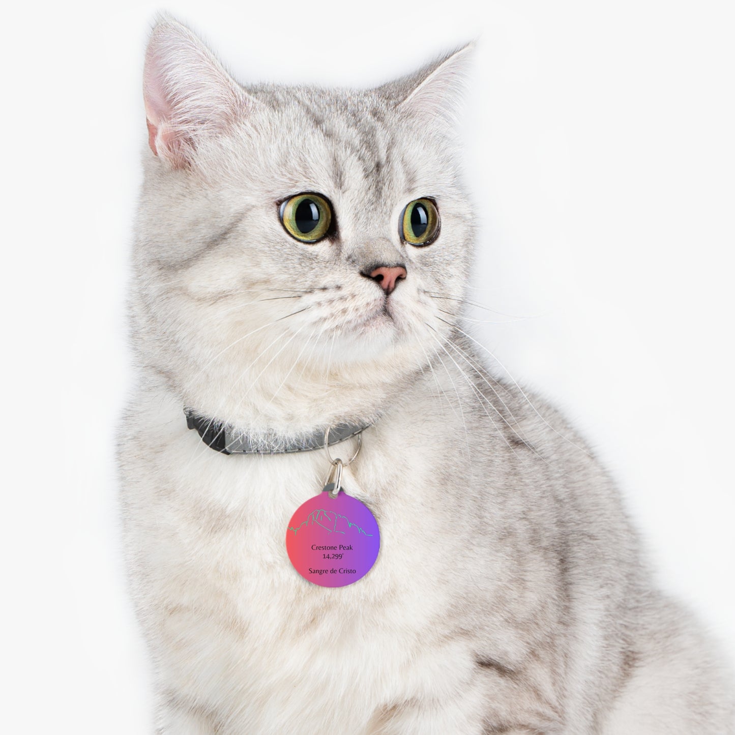 Crestone Peak Pet Tag
