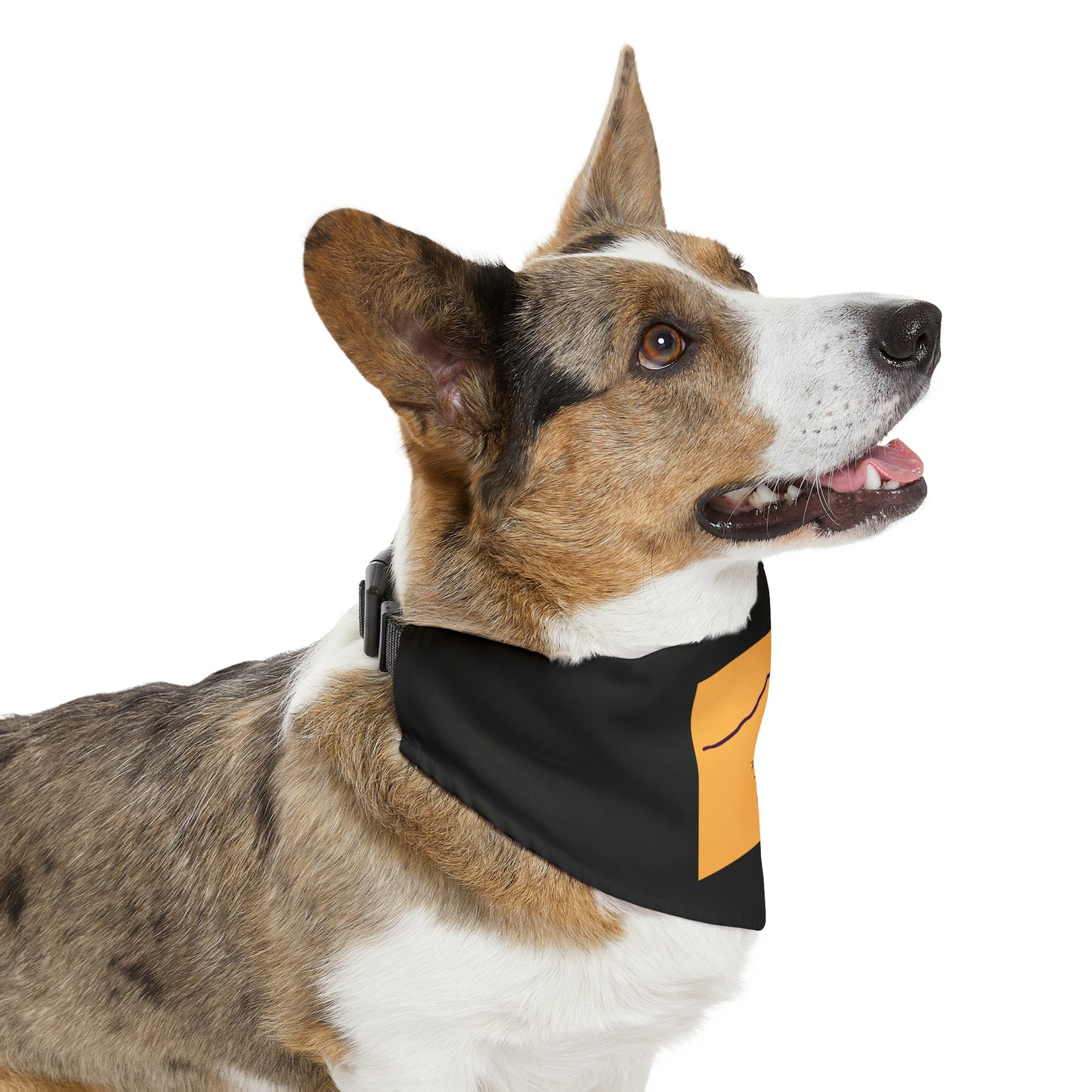 Torreys Peak 14er Pet Bandana Collar