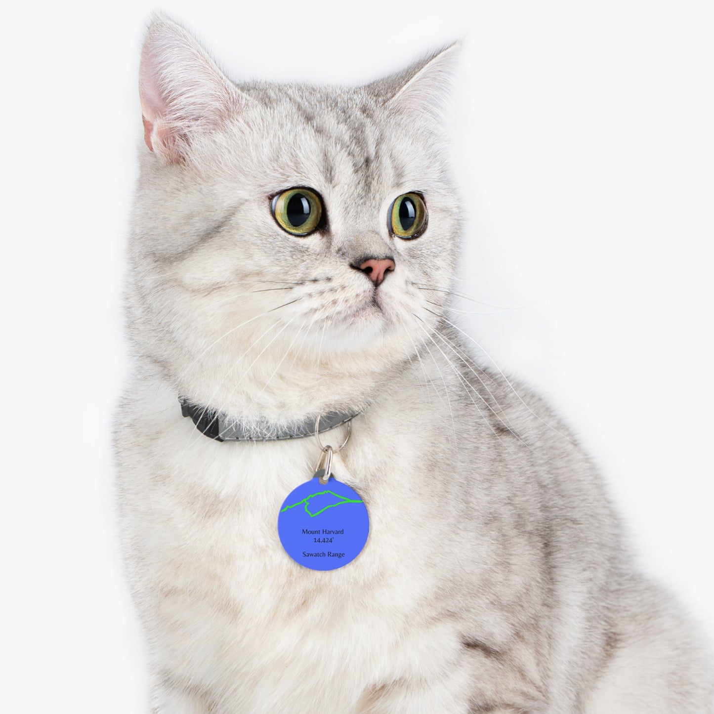 Mount Harvard Pet Tag