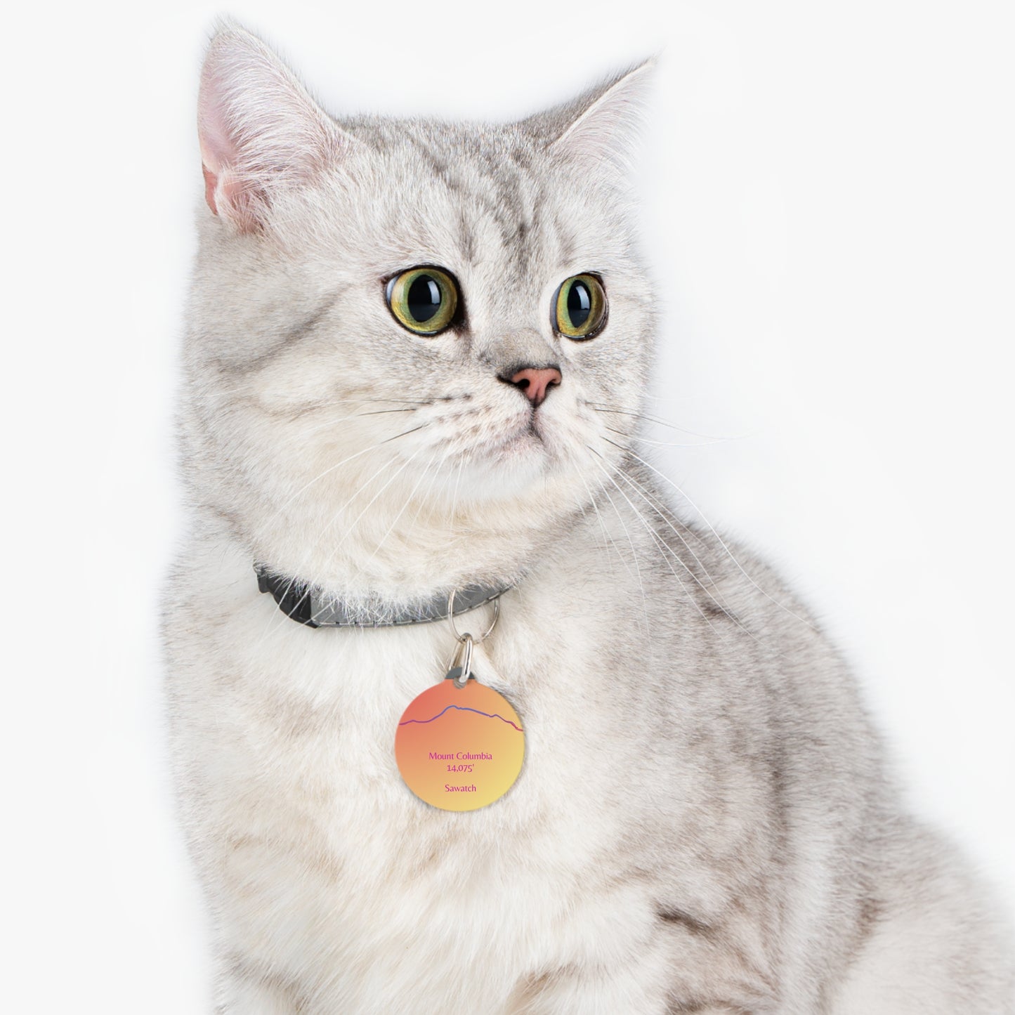 Mount Cameron Pet Tag
