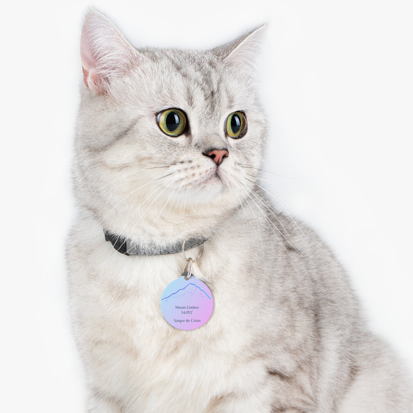 Mount Lindsey Pet Tag