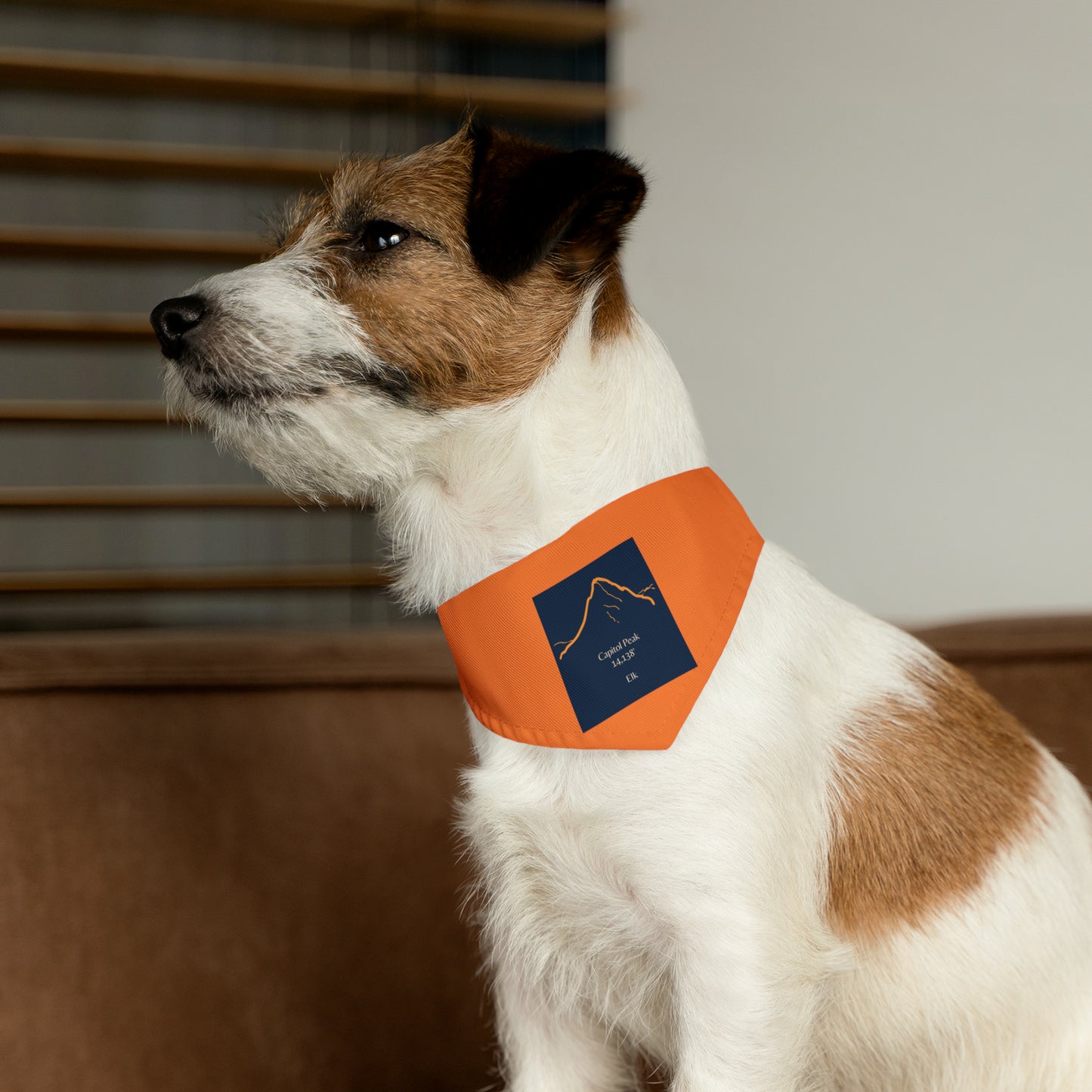 Capitol Peak 14er Dog Bandana 1