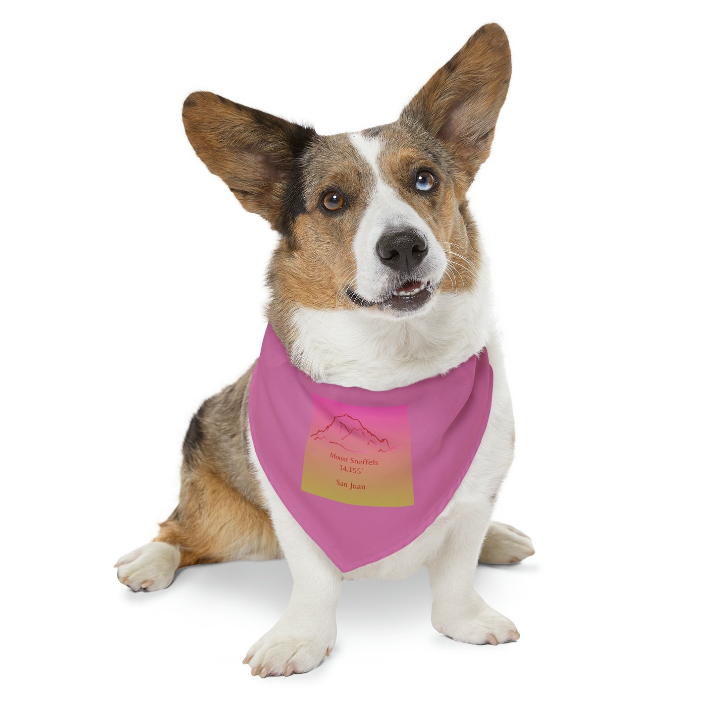 Mount Sneffels 14er Pet Bandana Collar