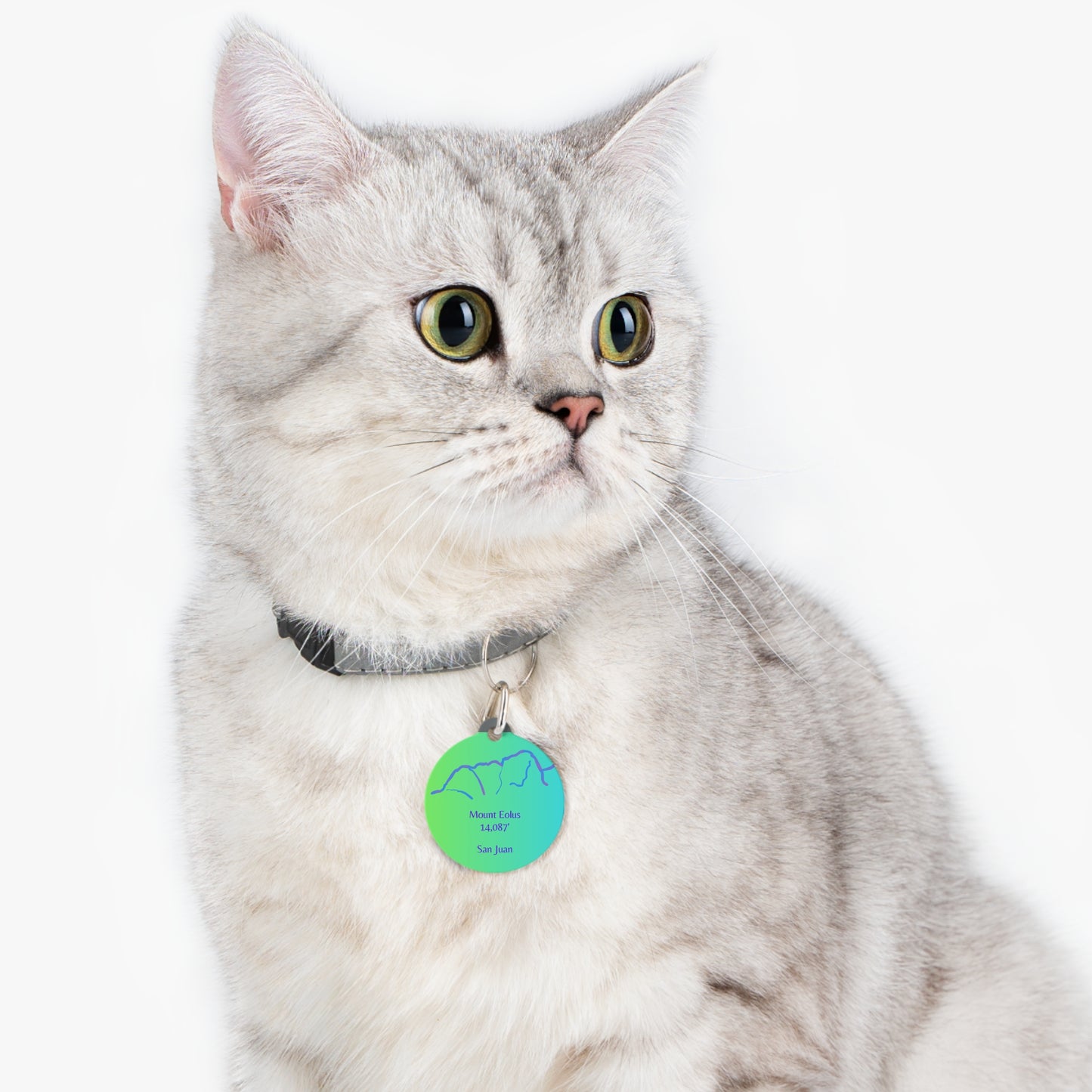 Mount Eolus Pet Tag