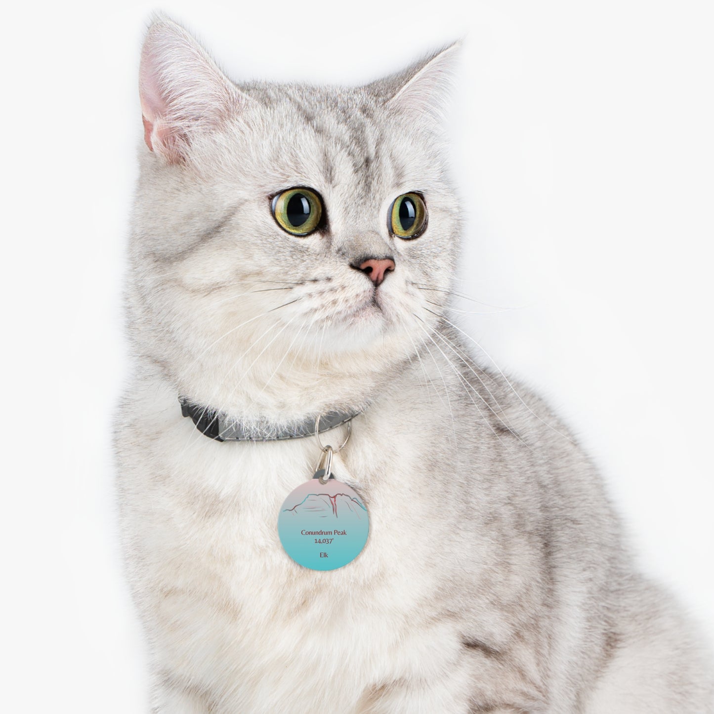 Conundrum Peak Pet Tag