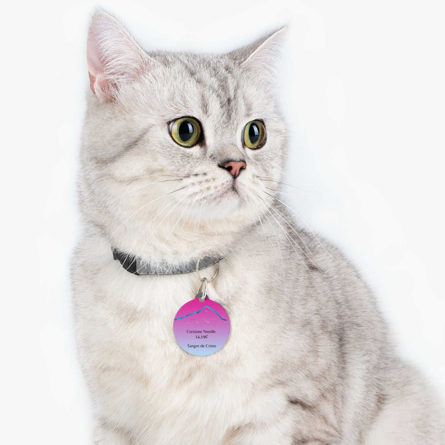 Crestone Needle Pet Tag