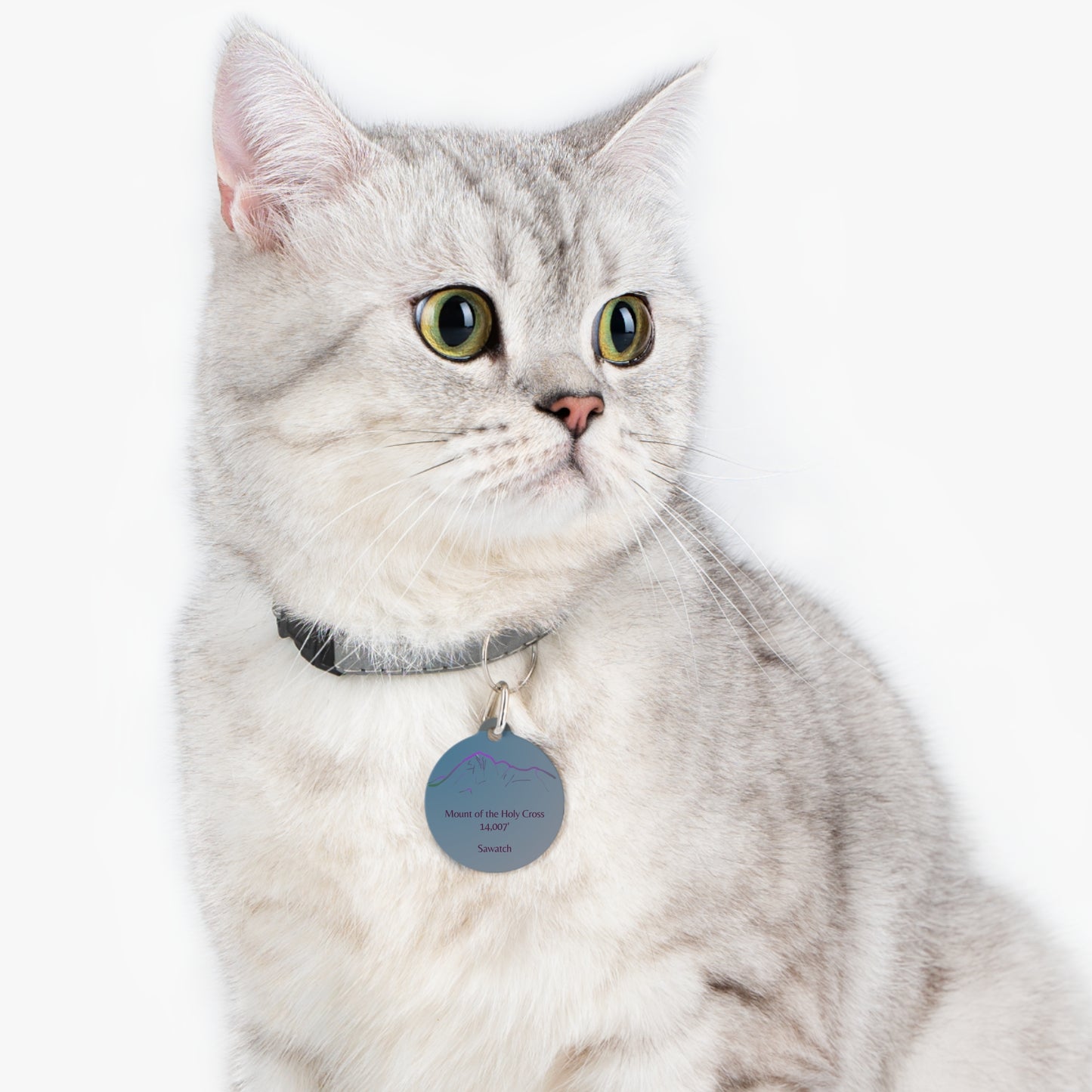 Mount of the Holy Cross Pet Tag