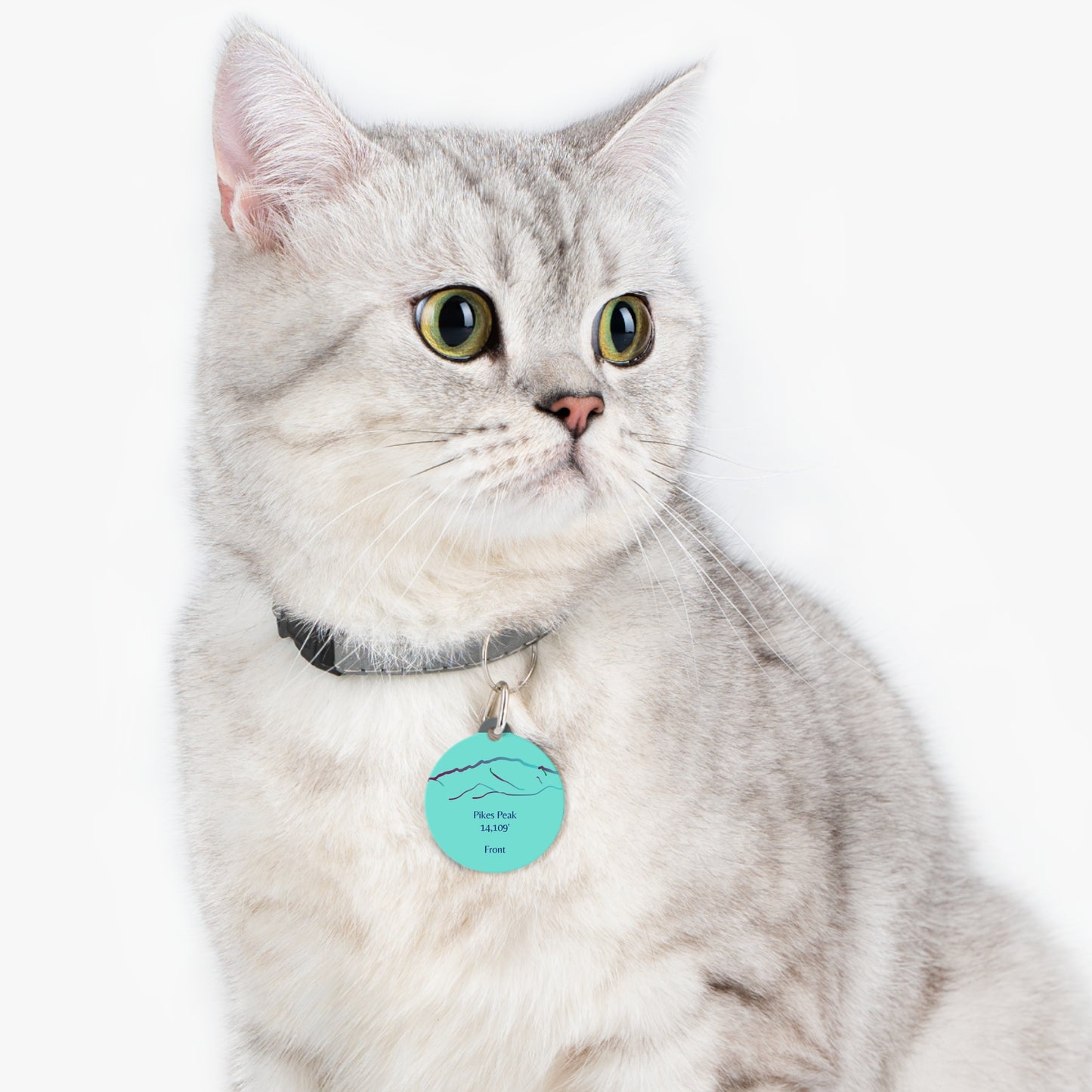 Pikes Peak Pet Tag