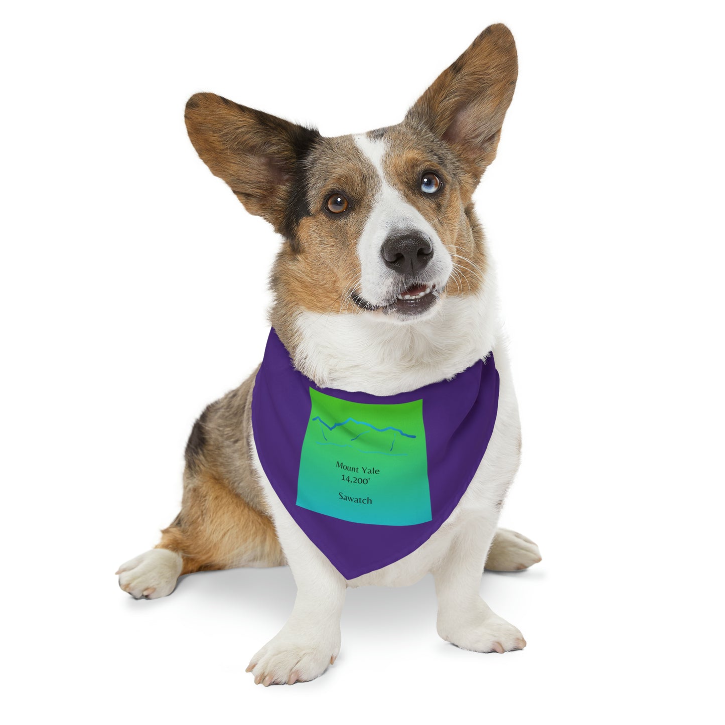 Mount Yale 14er Pet Bandana Collar