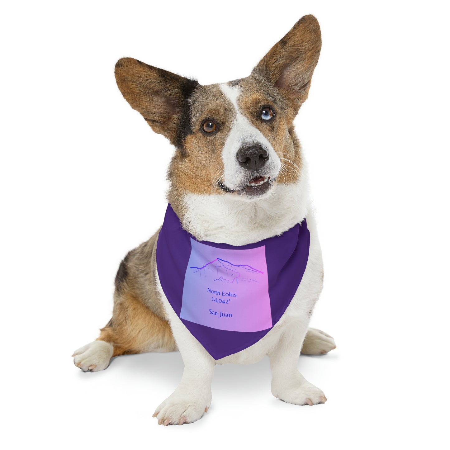 North Eolus 14er Pet Bandana Collar