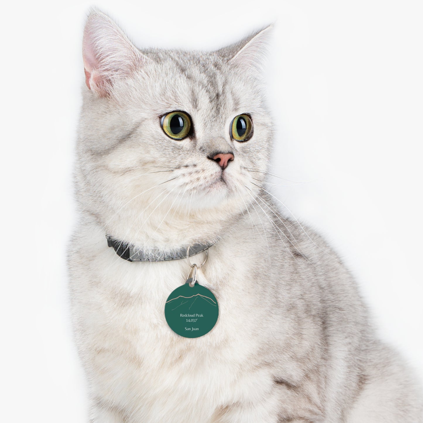 Redcloud Peak 14er Pet Tag