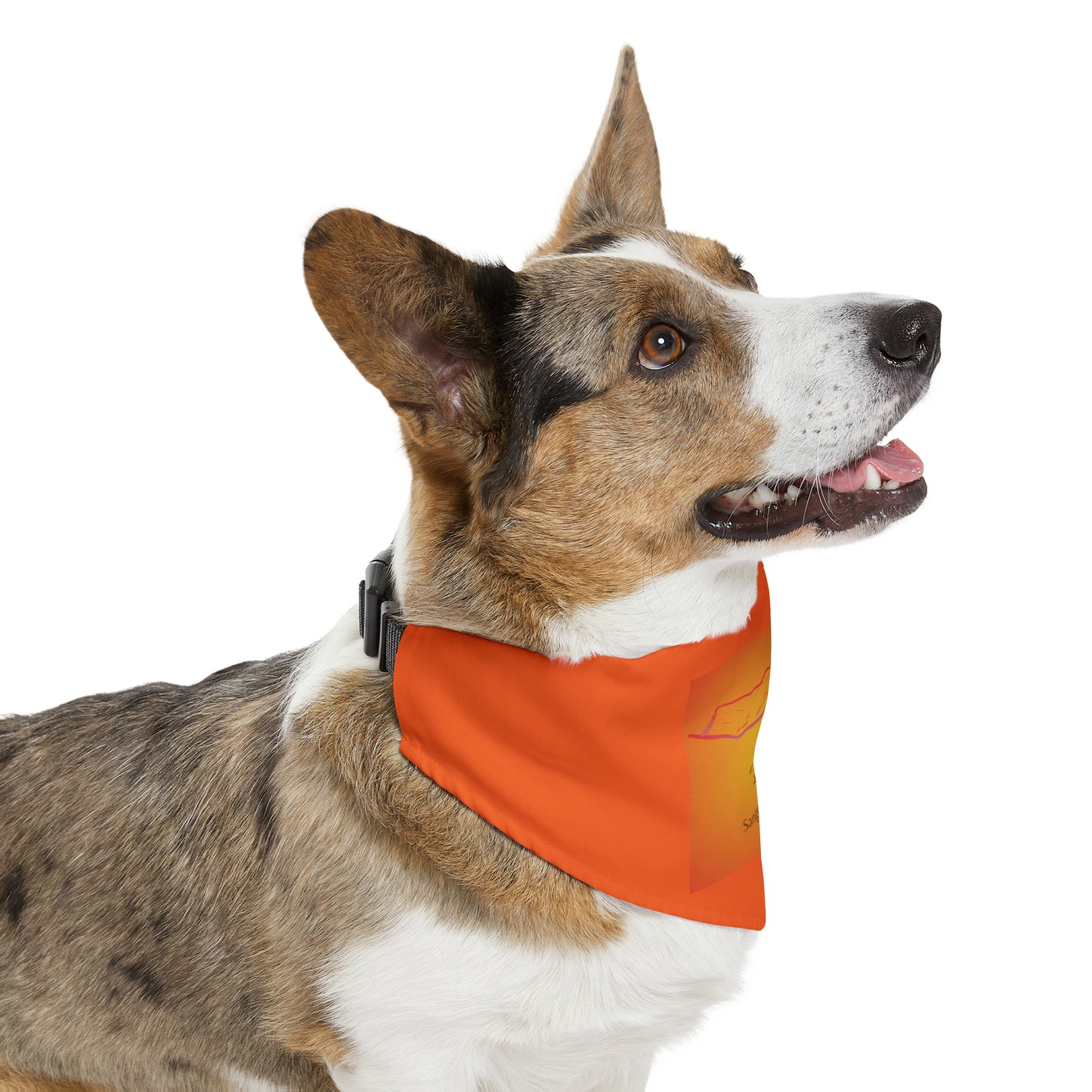 Culebra Peak 14er Pet Bandana Collar