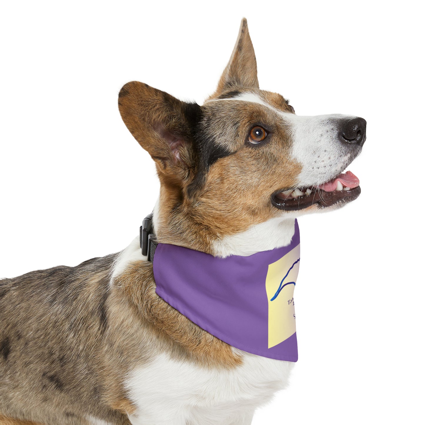 Tabeguache Peak 14er Pet Bandana Collar