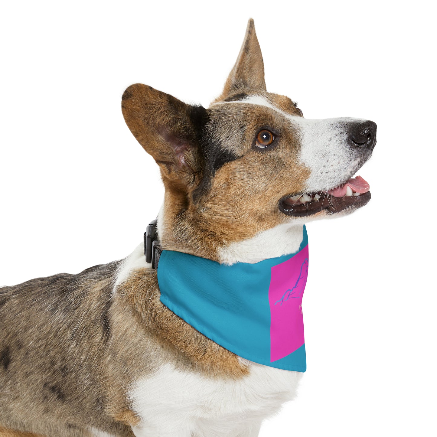 Pyramid Peak 14er Pet Bandana Collar