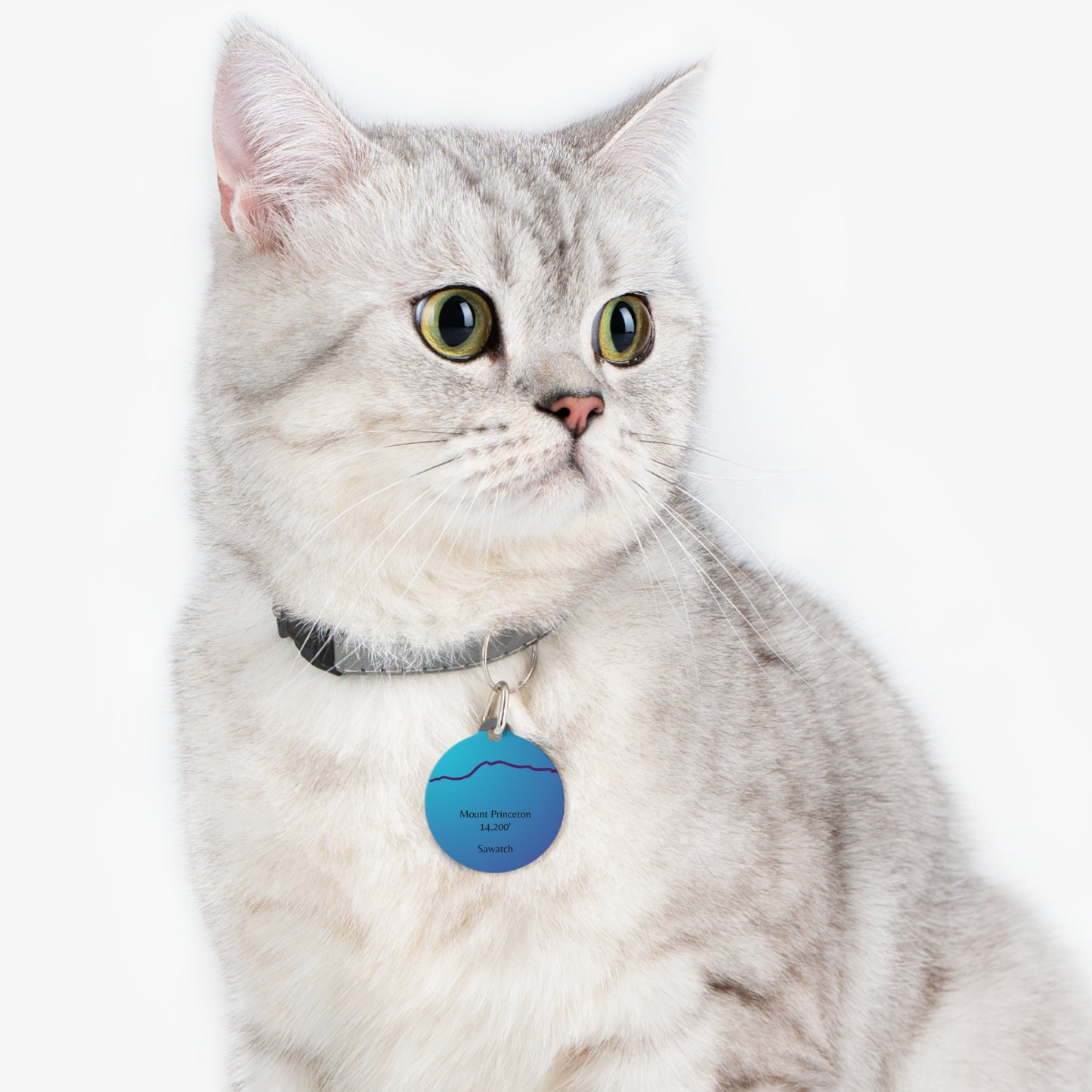 Mount Princeton Pet Tag