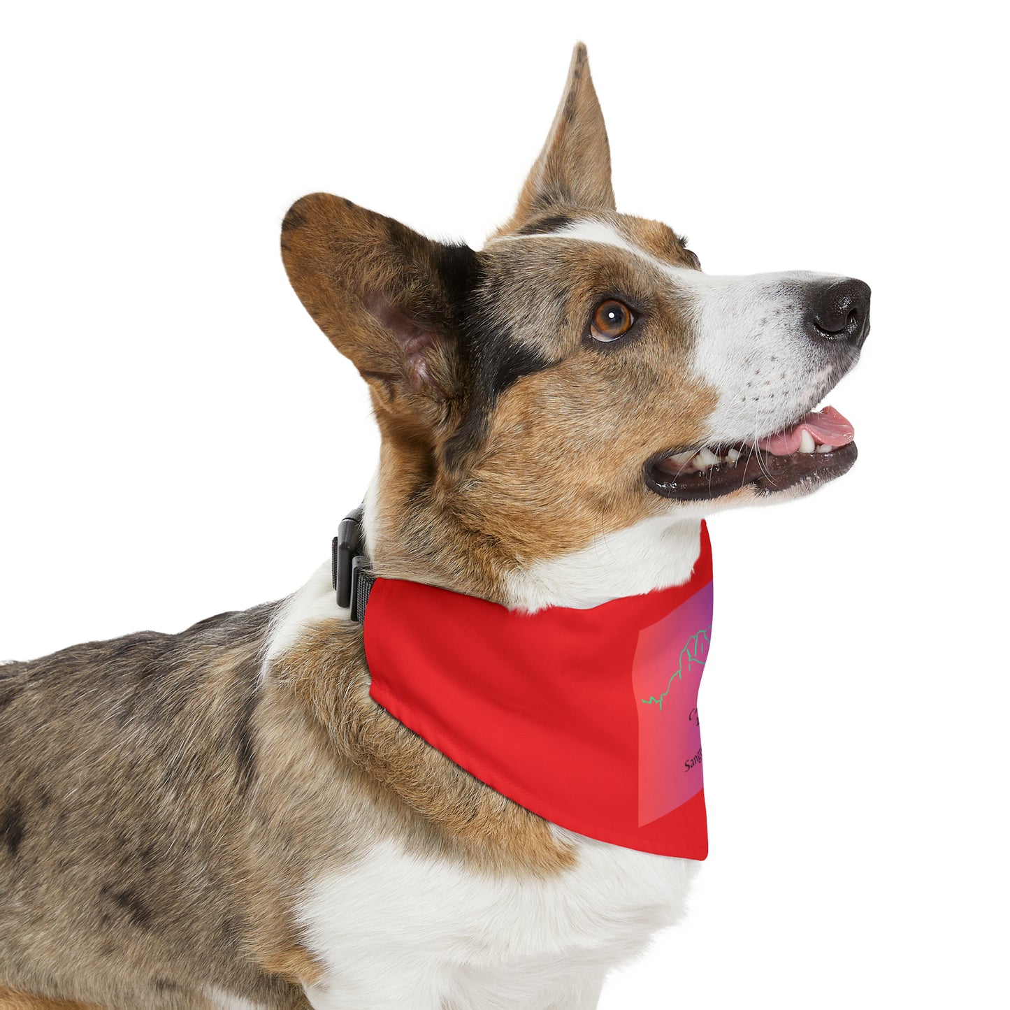 Crestone Peak 14er Dog Bandana 7