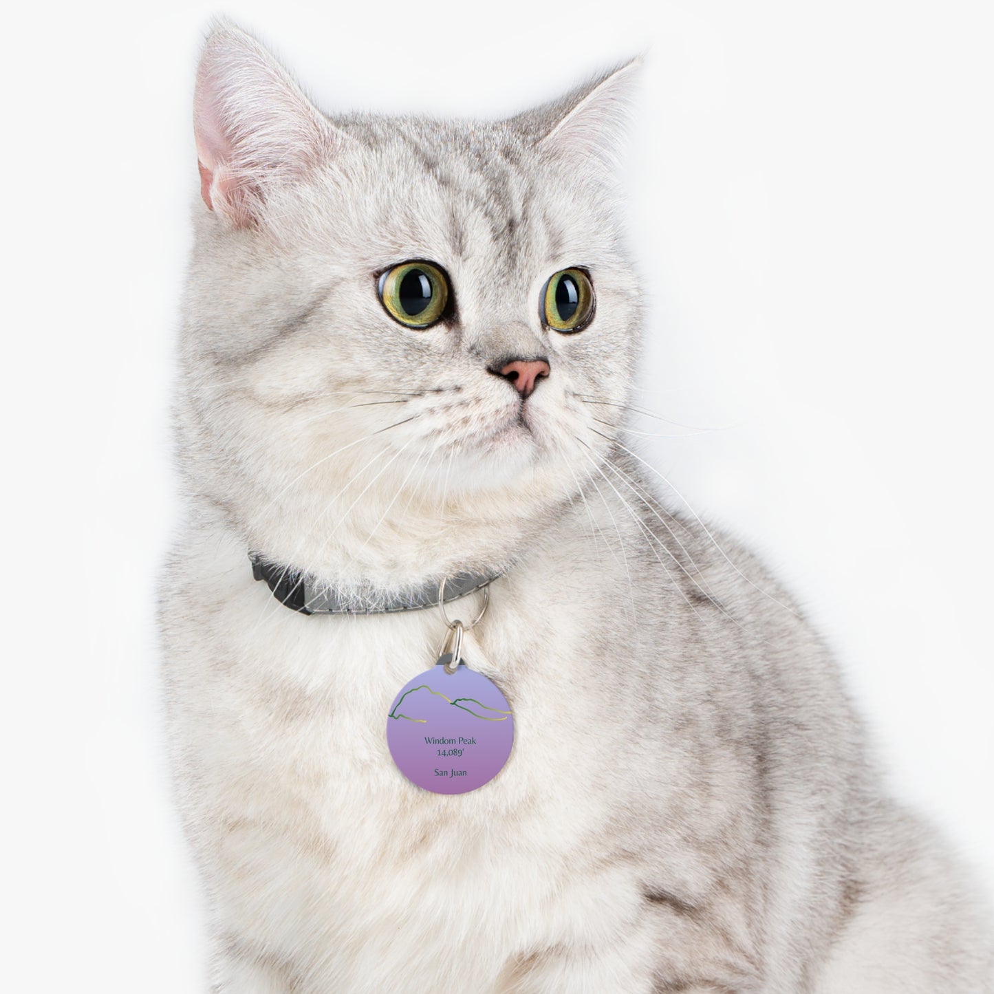 Windom Peak 14er Pet Tag